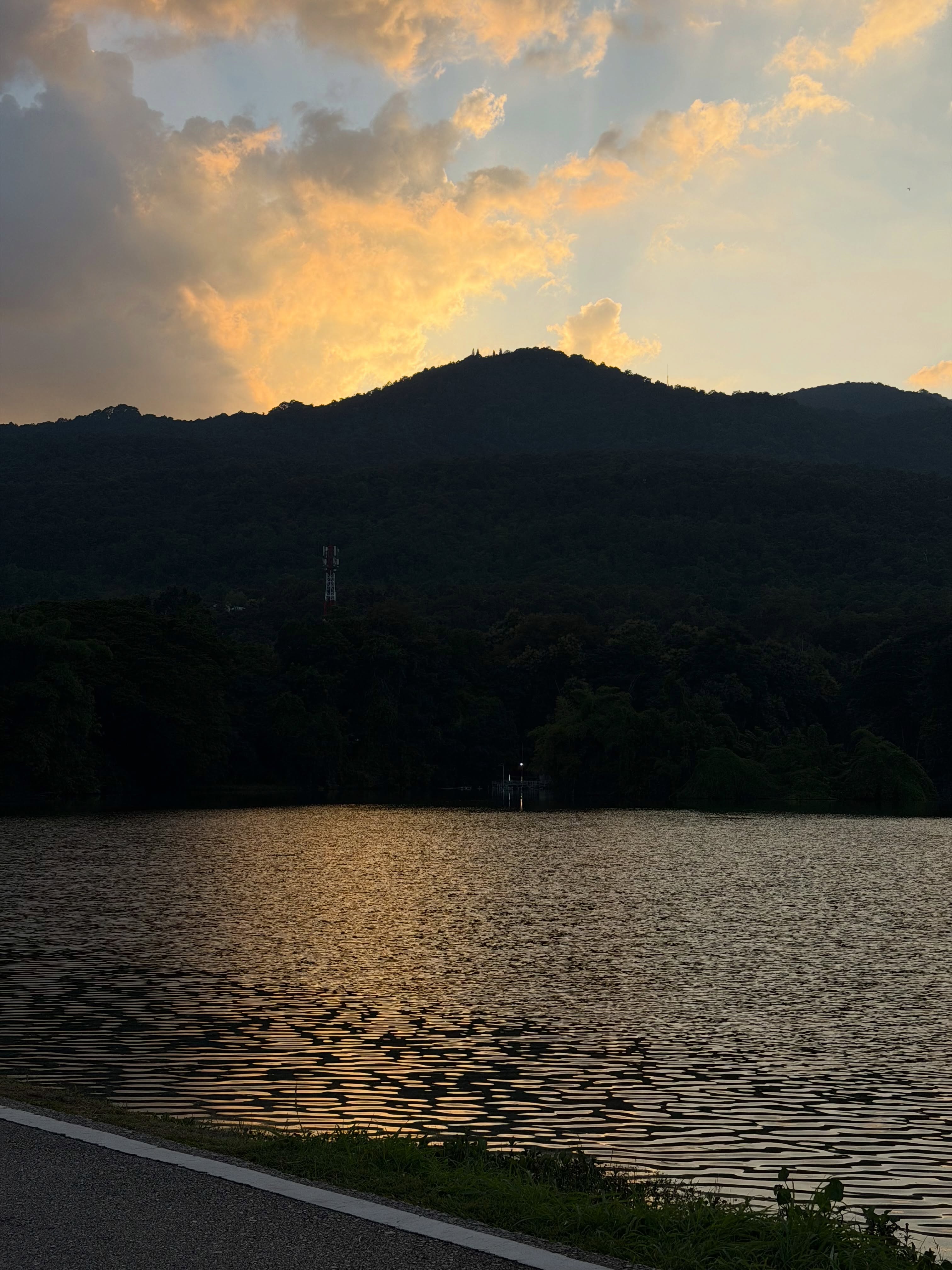 ฟรีน - สโรชา จันทร์กิมฮะ