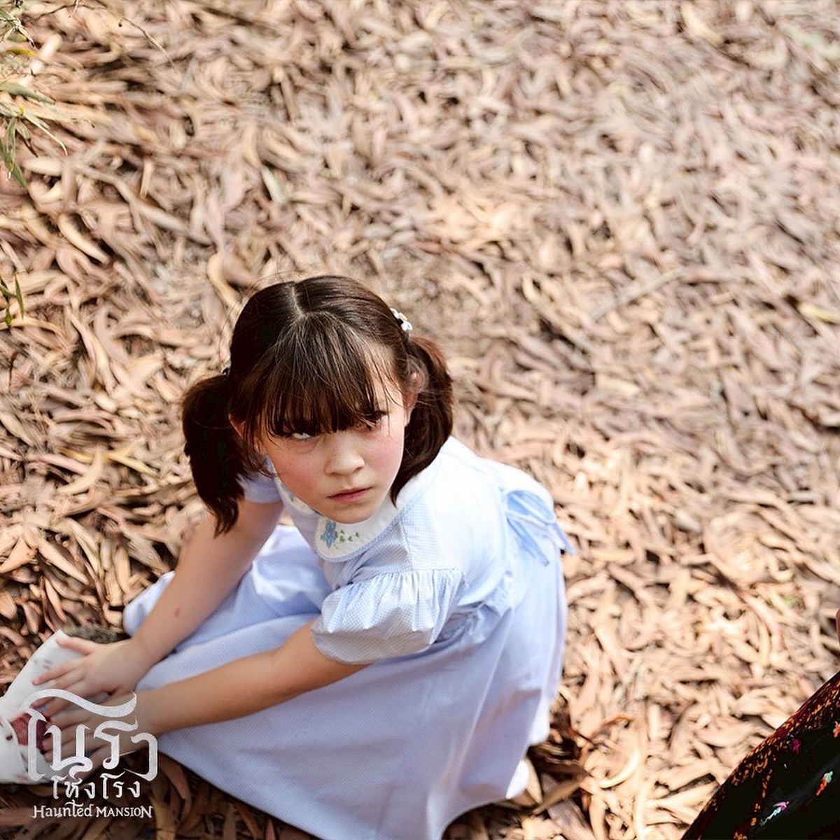 เป๊ก - เปรมณัช สุวรรณานนท์