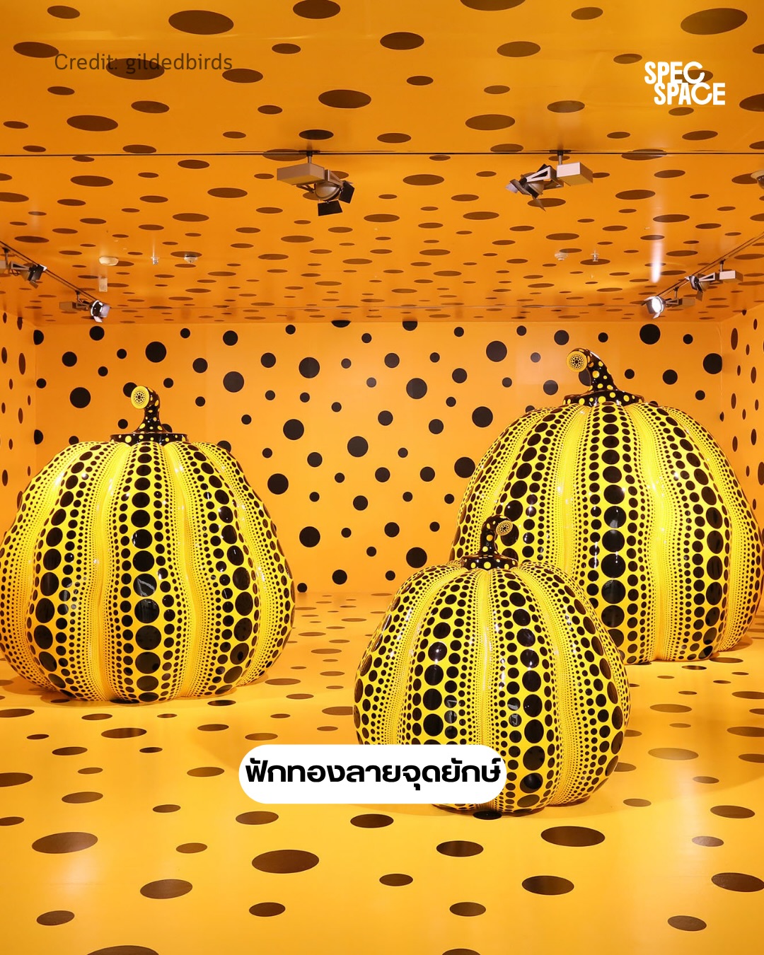 เป๊ก - เปรมณัช สุวรรณานนท์
