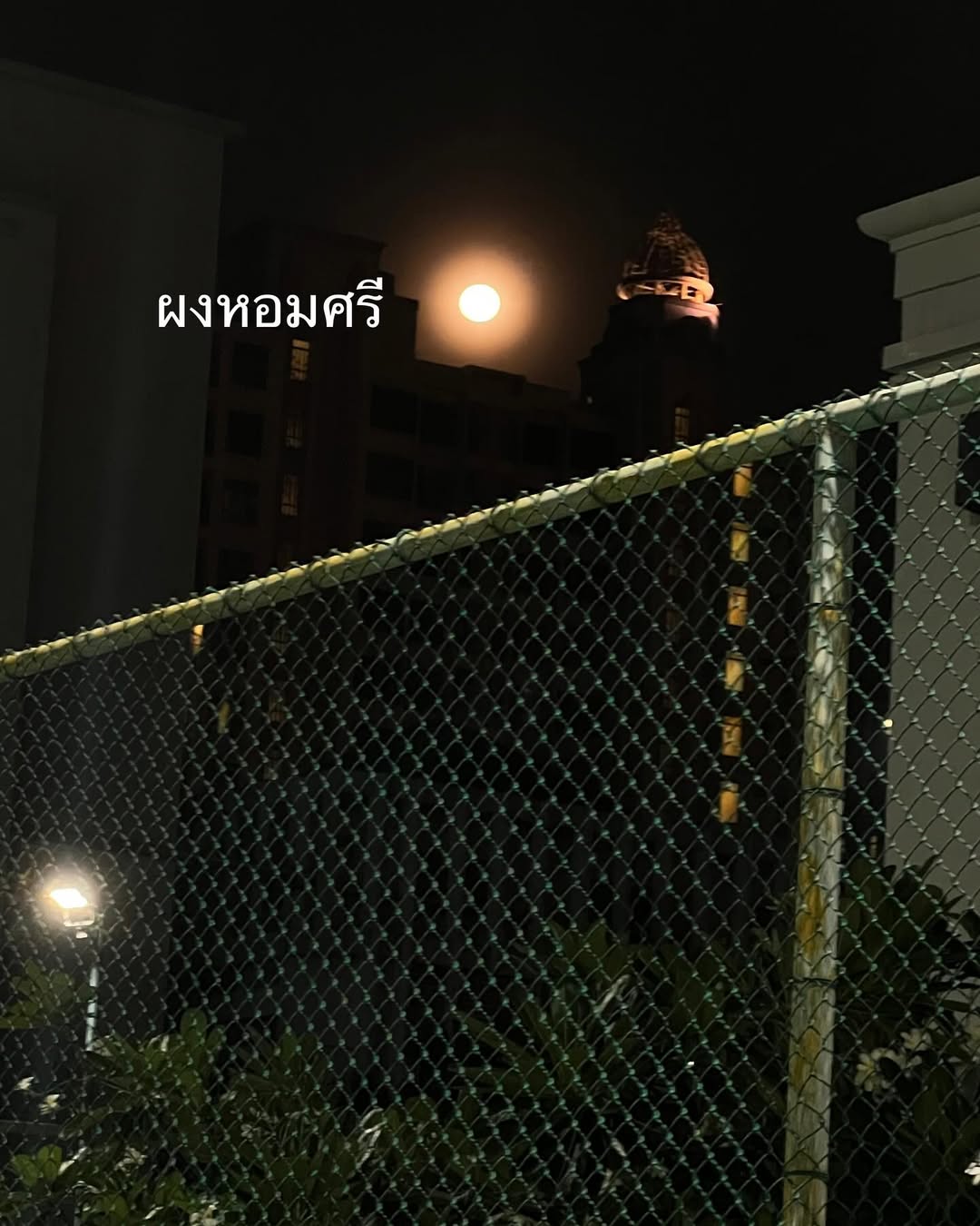 ป๋อมแป๋ม - นิติ ชัยชิตาทร