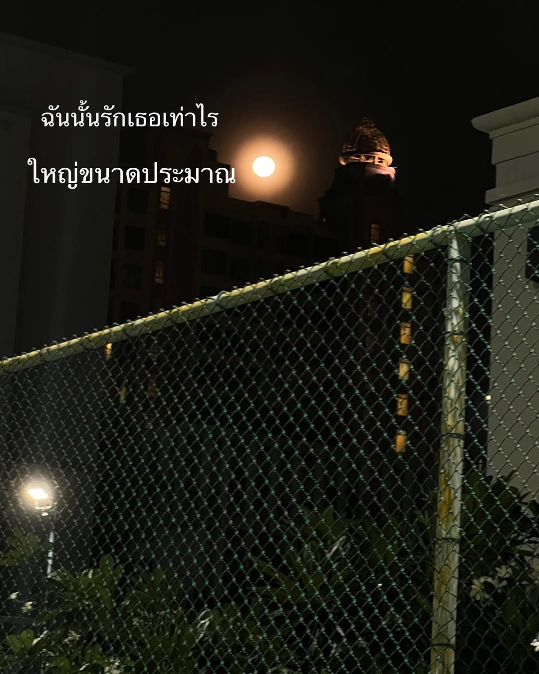 ป๋อมแป๋ม - นิติ ชัยชิตาทร
