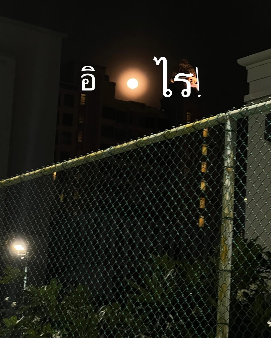 ป๋อมแป๋ม - นิติ ชัยชิตาทร
