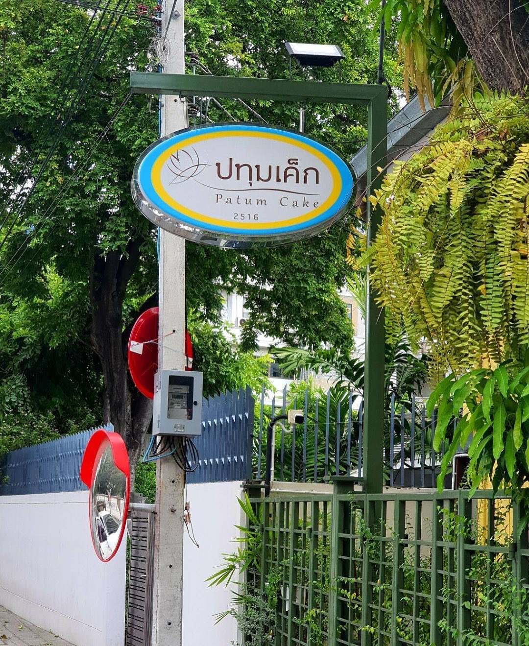 ป๋อมแป๋ม - นิติ ชัยชิตาทร