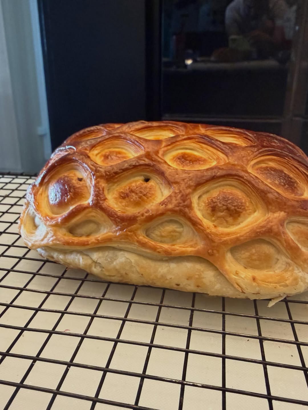 ป๋อมแป๋ม - นิติ ชัยชิตาทร