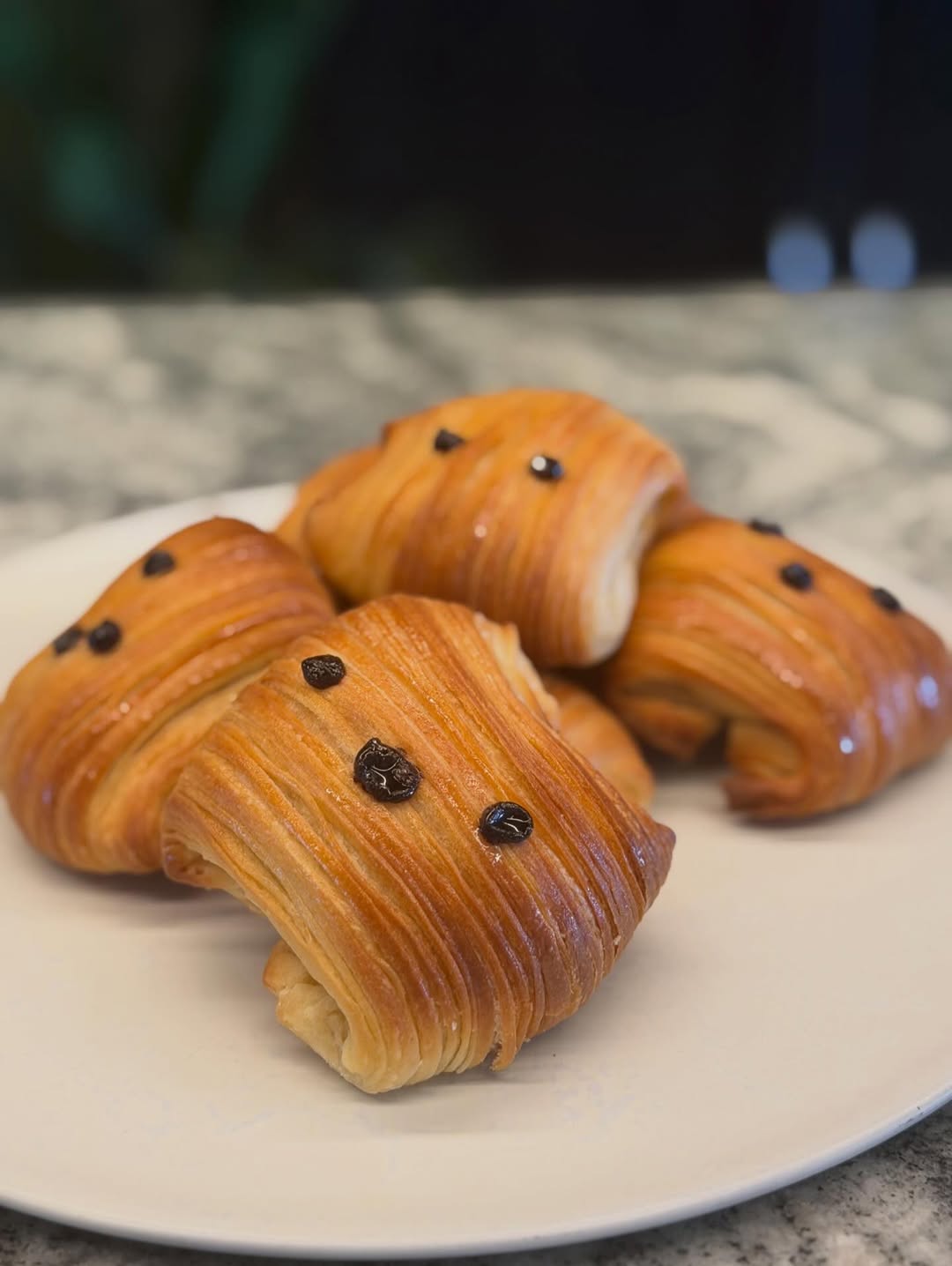 ป๋อมแป๋ม - นิติ ชัยชิตาทร