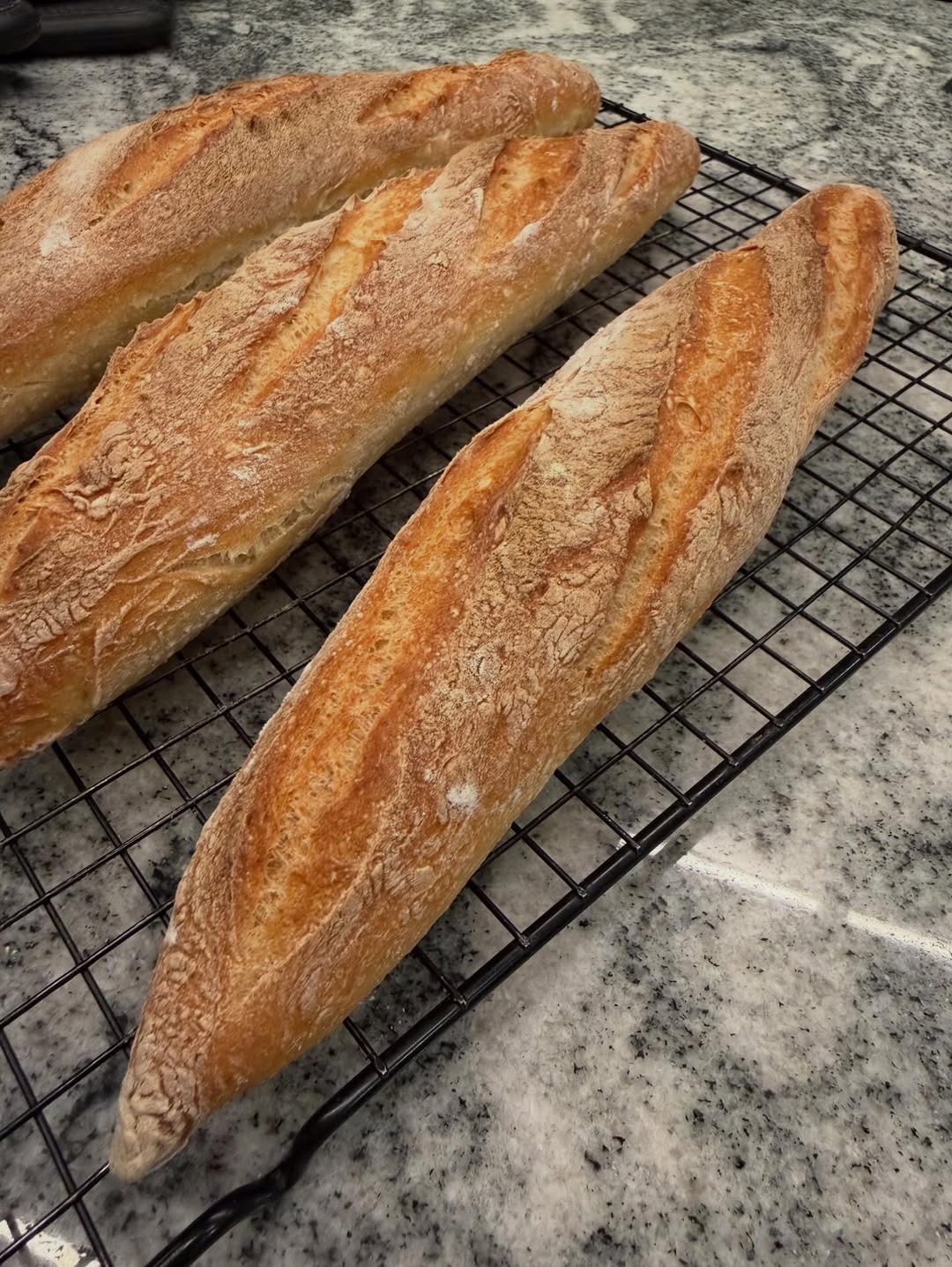 ป๋อมแป๋ม - นิติ ชัยชิตาทร