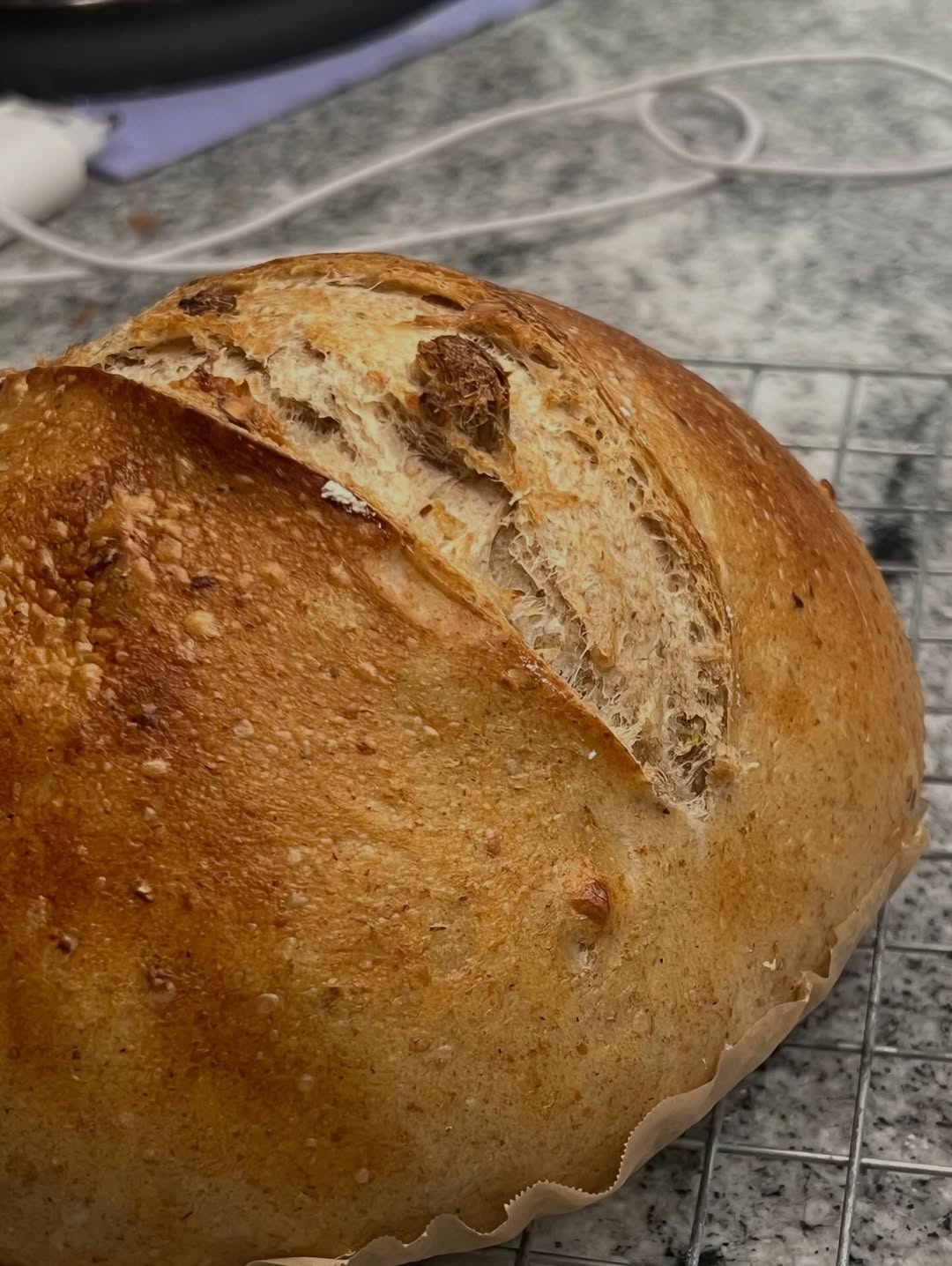 ป๋อมแป๋ม - นิติ ชัยชิตาทร