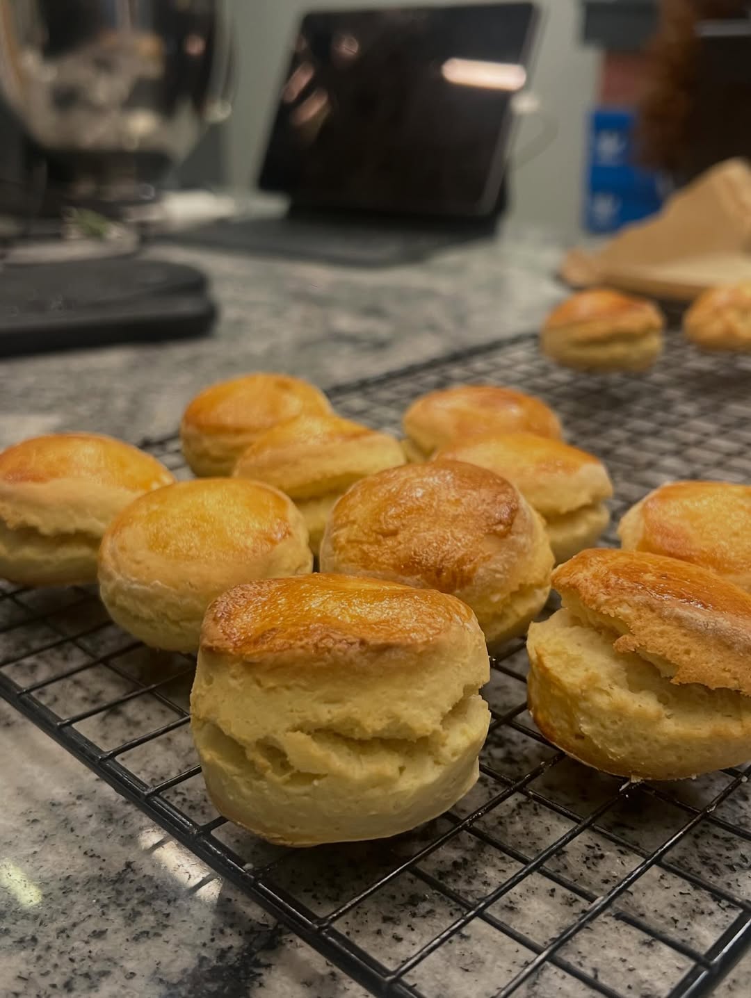 ป๋อมแป๋ม - นิติ ชัยชิตาทร