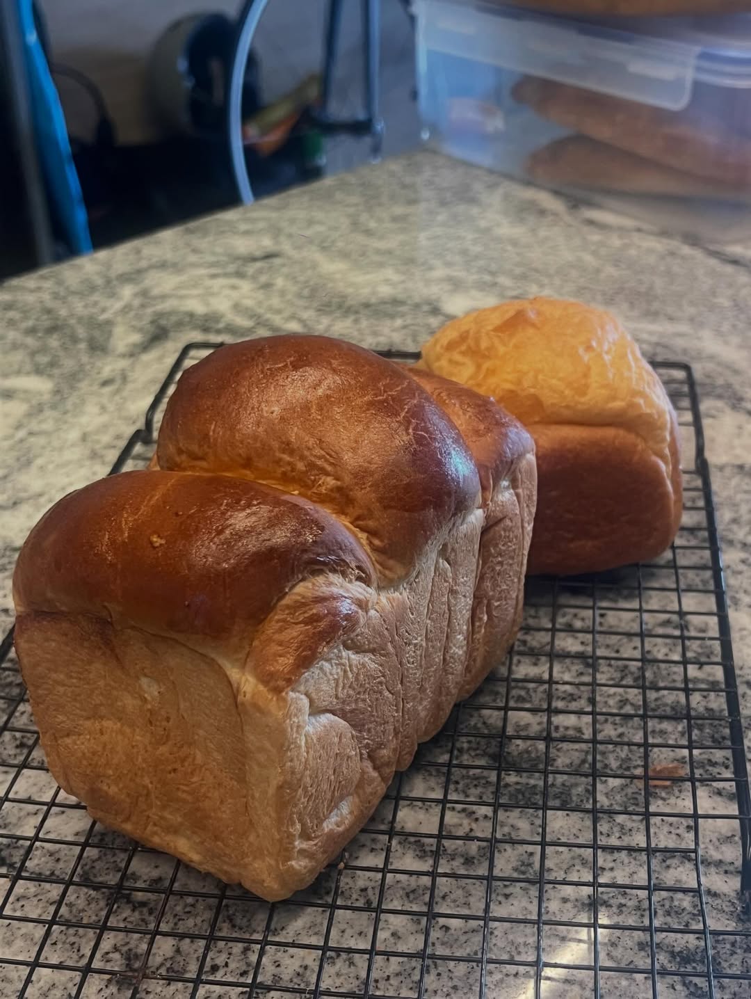 ป๋อมแป๋ม - นิติ ชัยชิตาทร