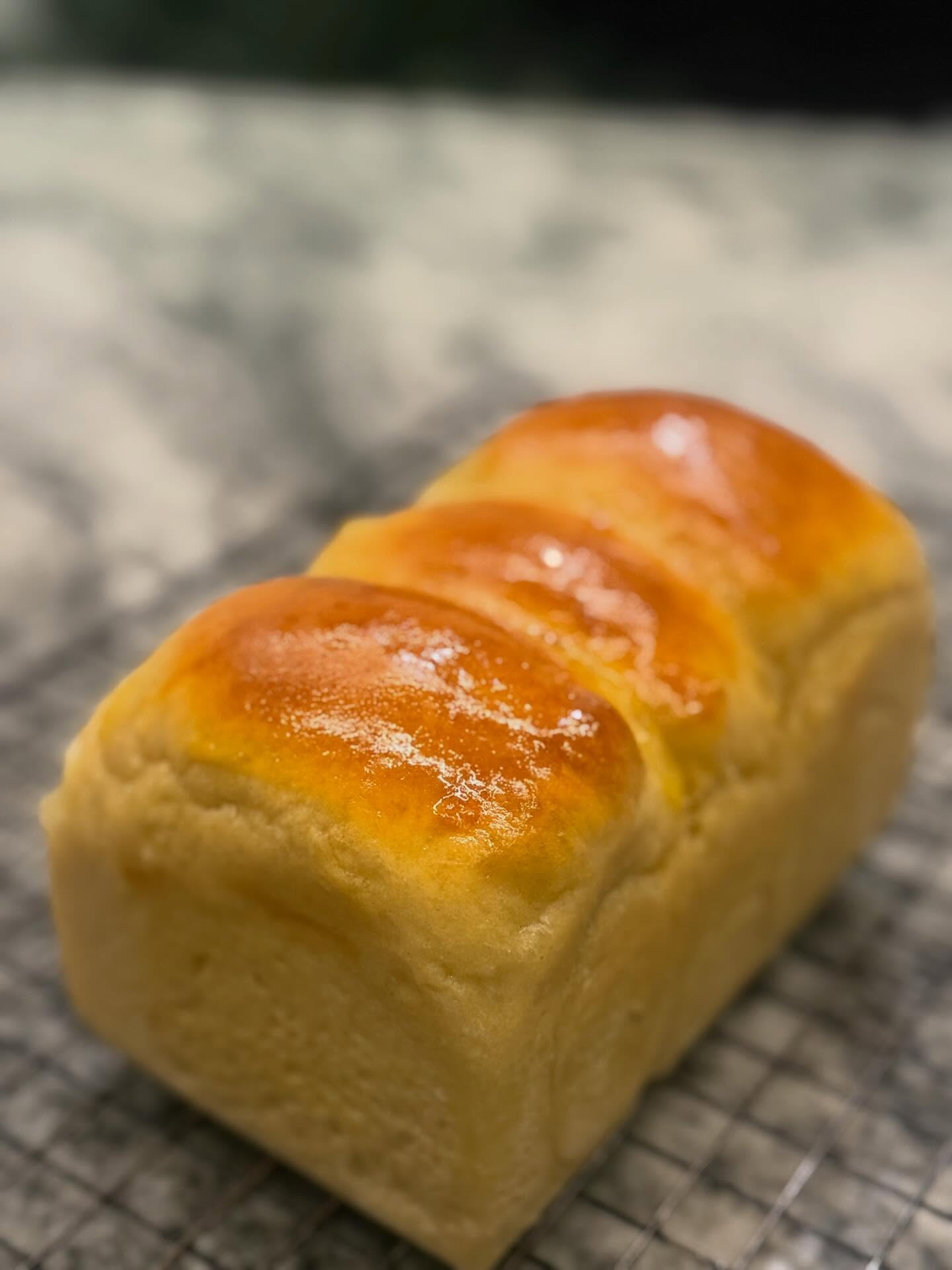 ป๋อมแป๋ม - นิติ ชัยชิตาทร