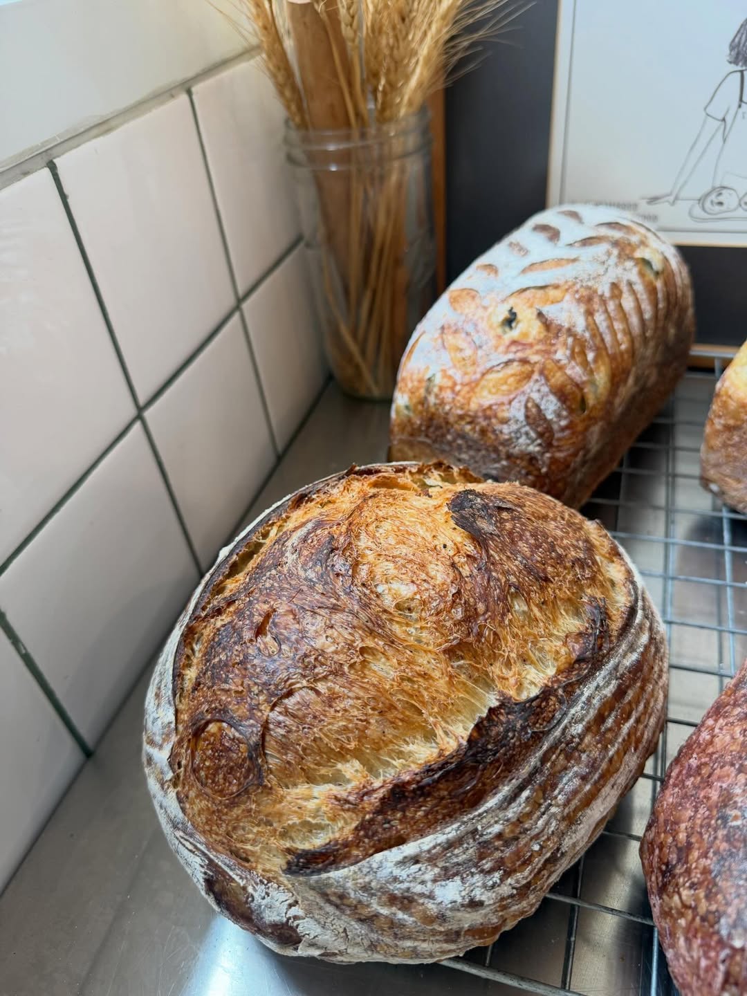 ป๋อมแป๋ม - นิติ ชัยชิตาทร