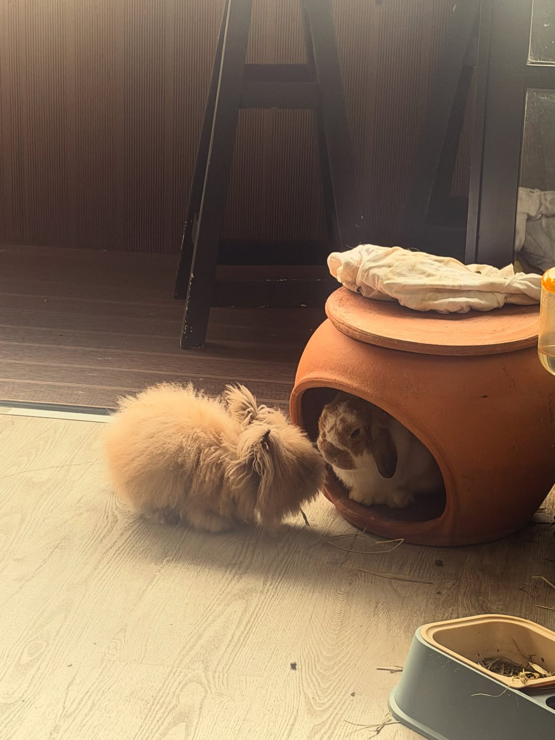 ป๋อมแป๋ม - นิติ ชัยชิตาทร