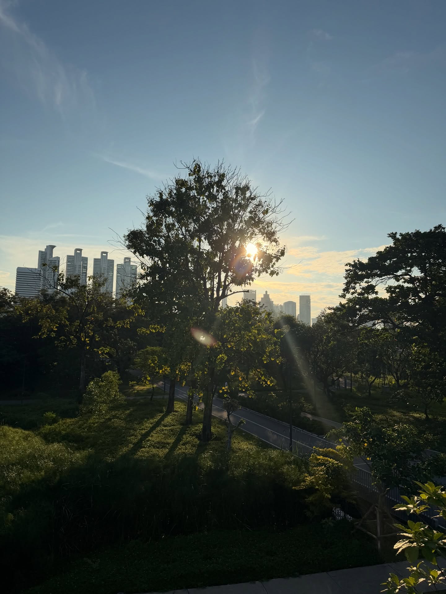 เชียร์ - ฑิฆัมพร ฤทธิ์ธาอภินันท์