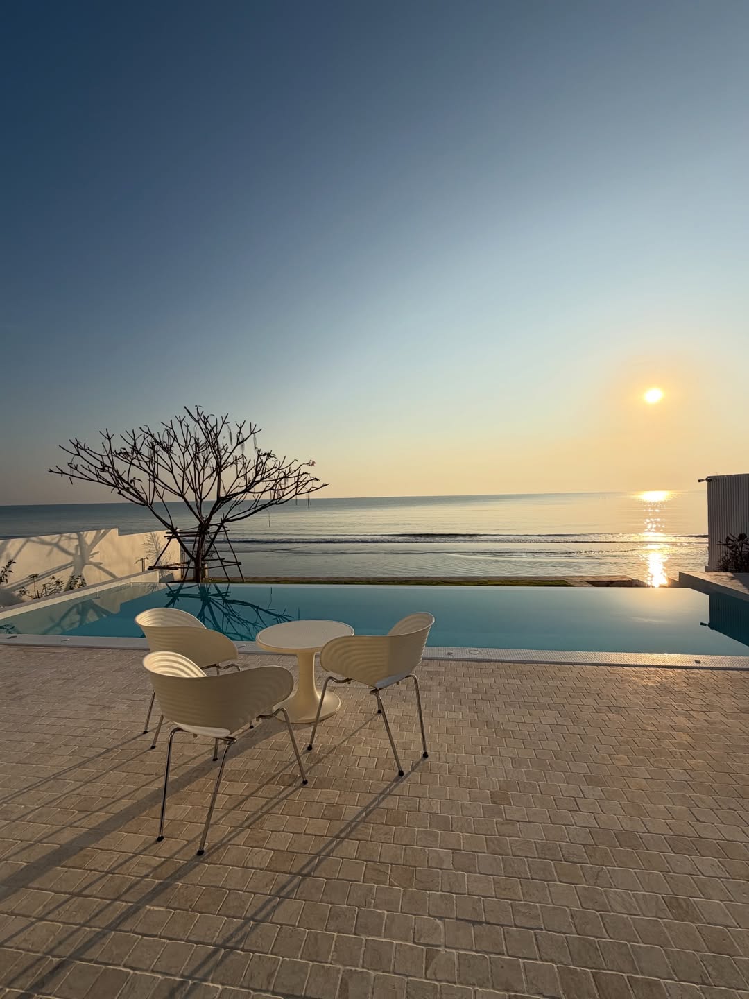 เชียร์ - ฑิฆัมพร ฤทธิ์ธาอภินันท์