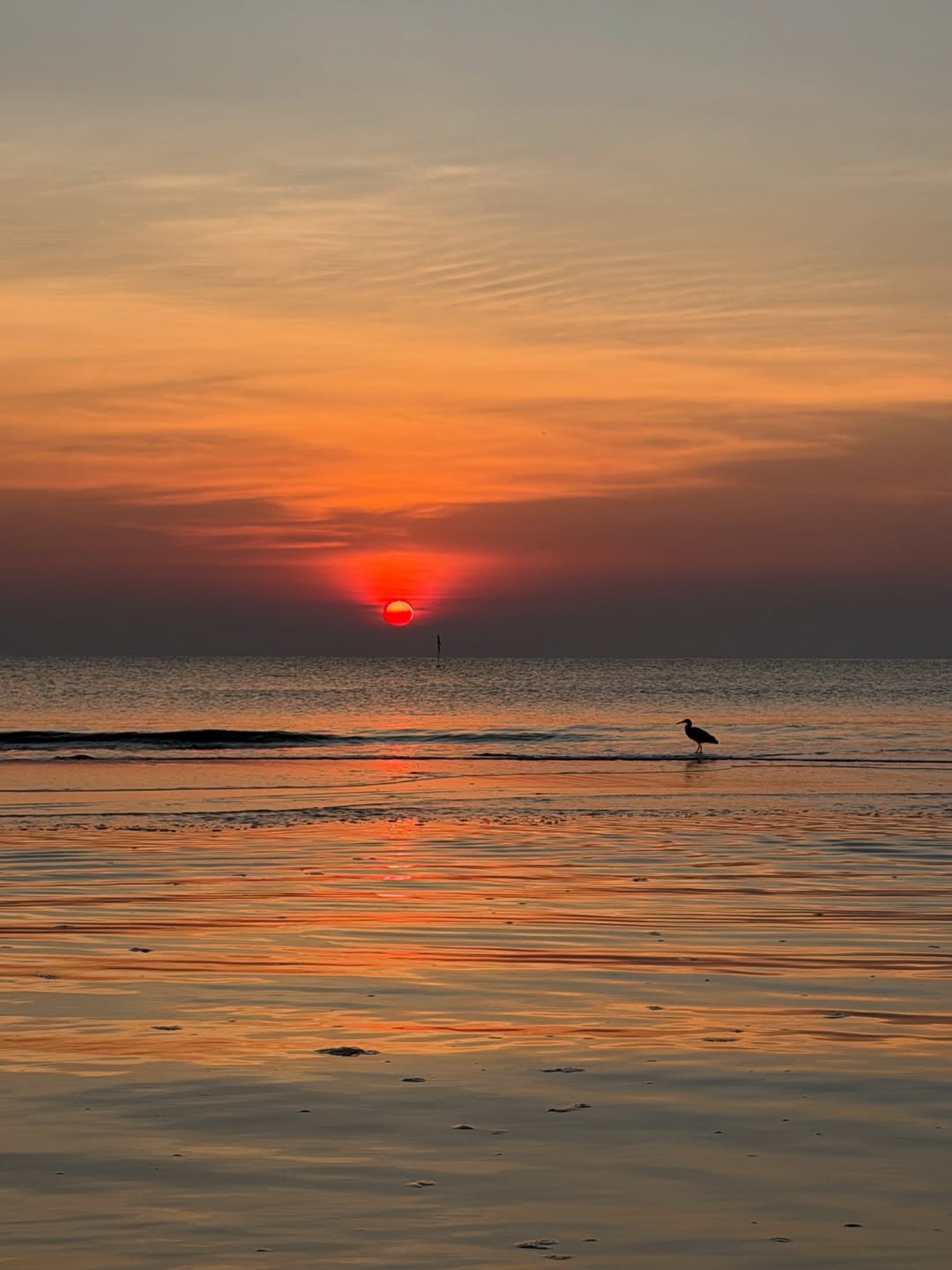 เชียร์ - ฑิฆัมพร ฤทธิ์ธาอภินันท์