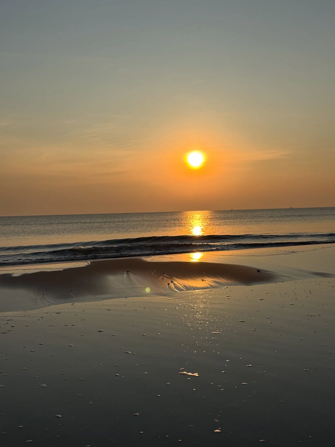 เชียร์ - ฑิฆัมพร ฤทธิ์ธาอภินันท์