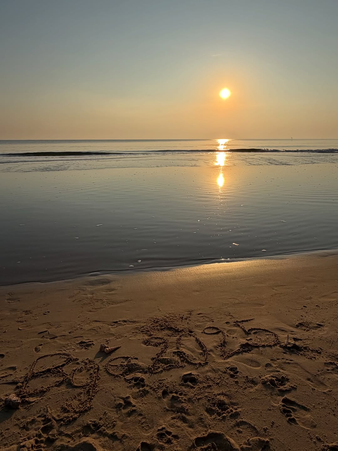 เชียร์ - ฑิฆัมพร ฤทธิ์ธาอภินันท์