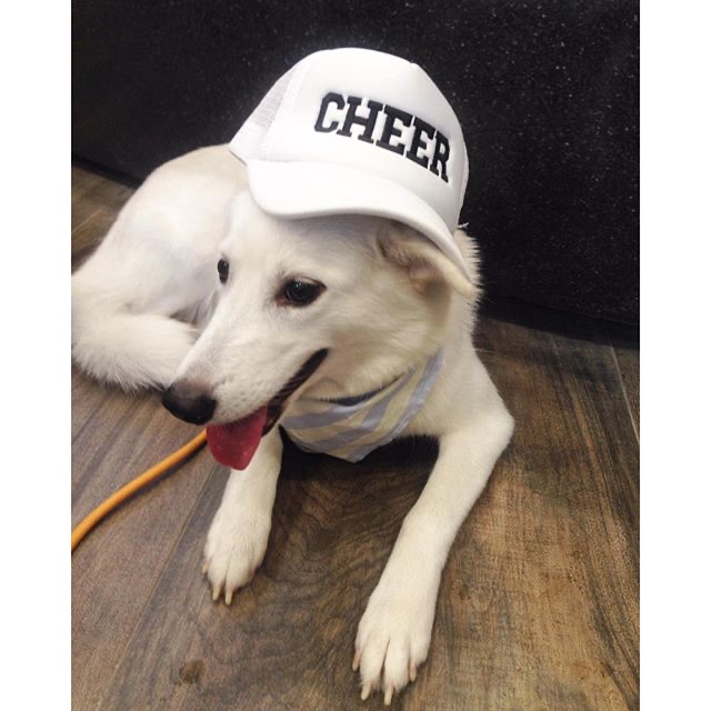 เชียร์ - ฑิฆัมพร ฤทธิ์ธาอภินันท์