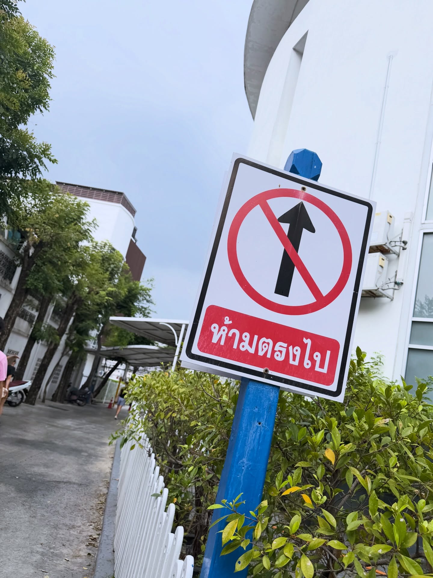 เชียร์ - ฑิฆัมพร ฤทธิ์ธาอภินันท์