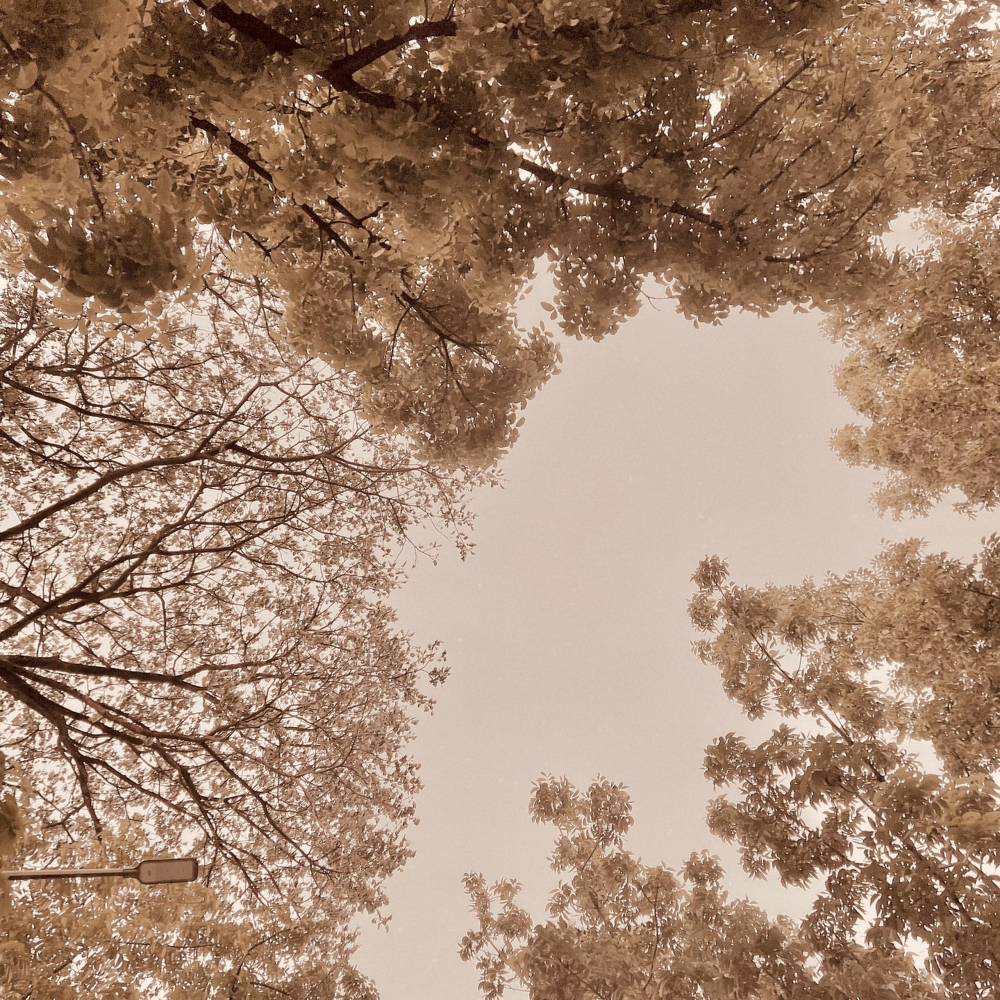 เจ้านาย - จินเจษฎ์ วรรธนะสิน