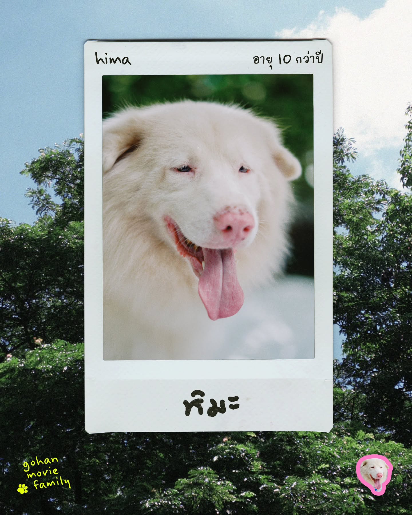 เจ้านาย - จินเจษฎ์ วรรธนะสิน