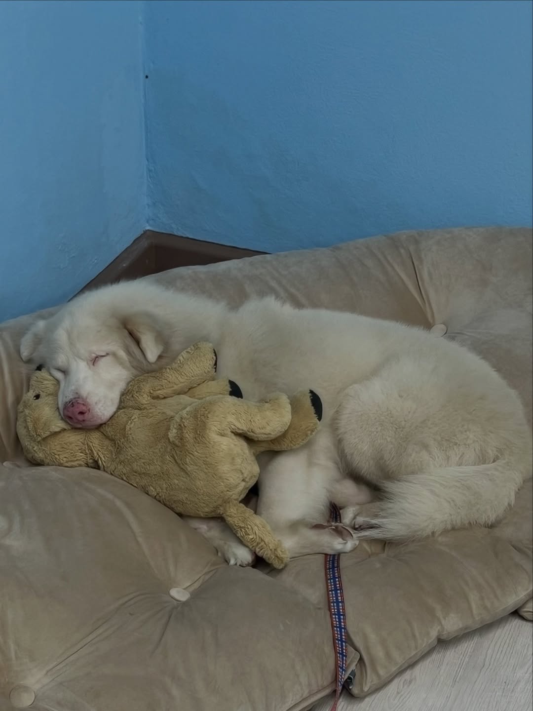 เจ้านาย - จินเจษฎ์ วรรธนะสิน