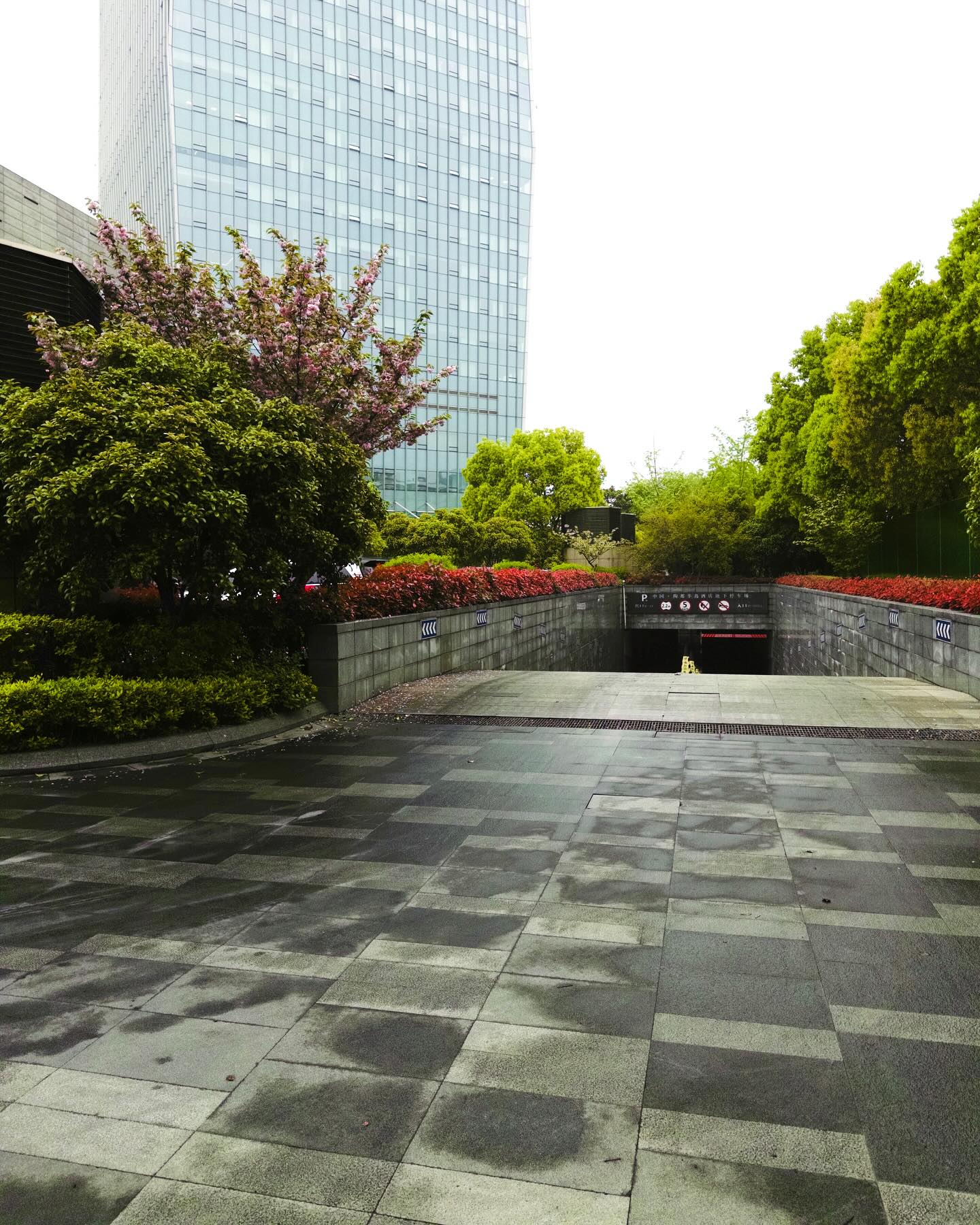 ซี - ทวินันท์ อนุกูลประเสริฐ