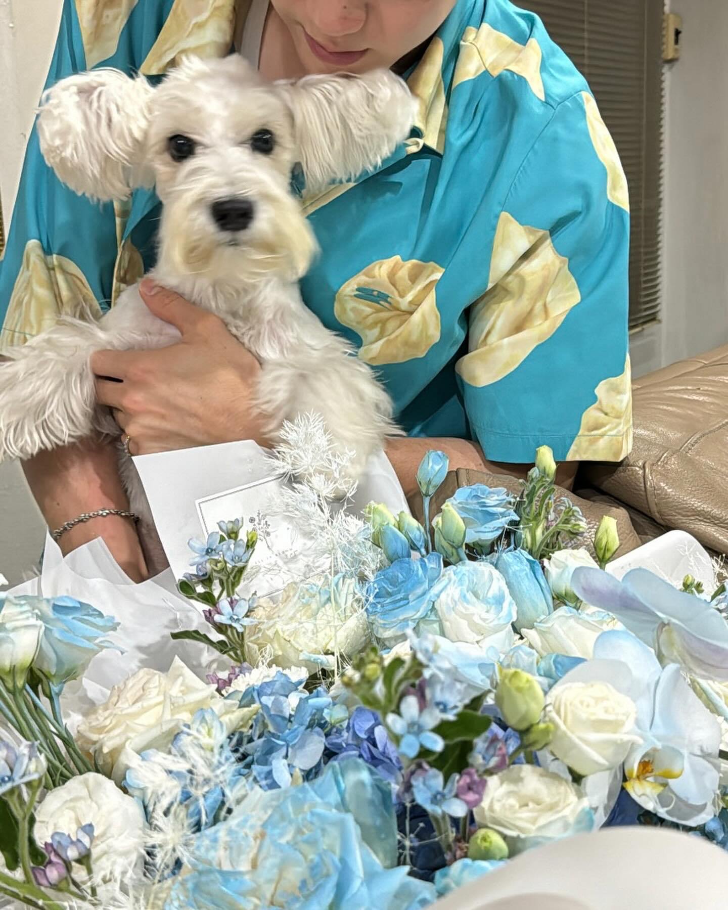 ซี - ทวินันท์ อนุกูลประเสริฐ