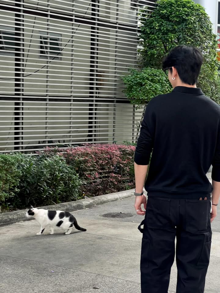 ซี - ทวินันท์ อนุกูลประเสริฐ