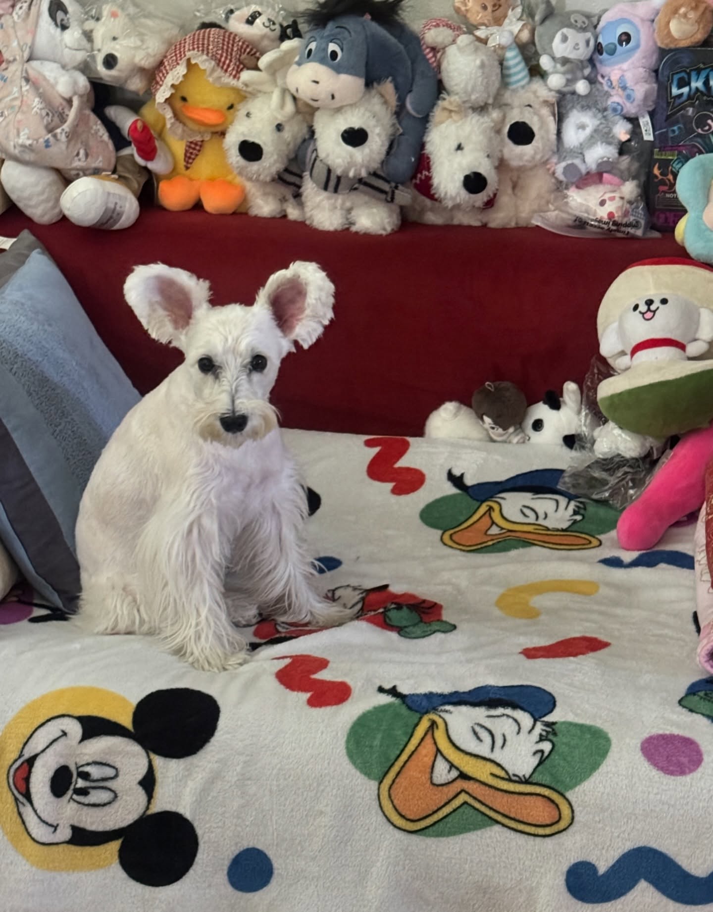 ซี - ทวินันท์ อนุกูลประเสริฐ