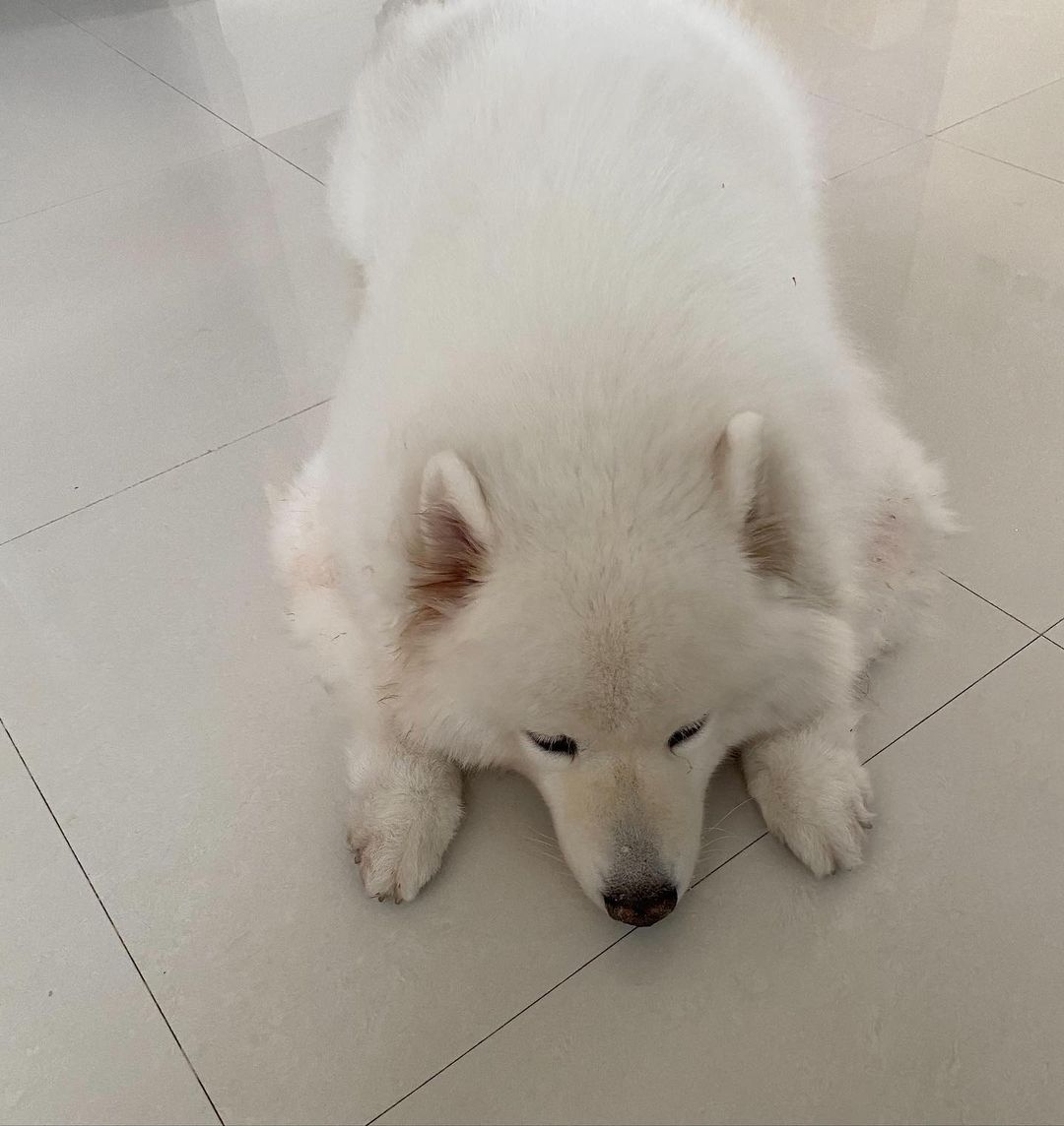 บุ๋ม - ปนัดดา วงศ์ผู้ดี