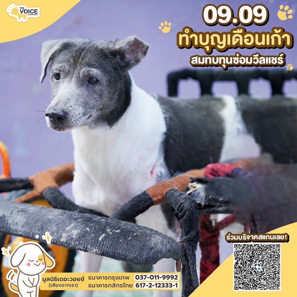 บุ๋ม - ปนัดดา วงศ์ผู้ดี