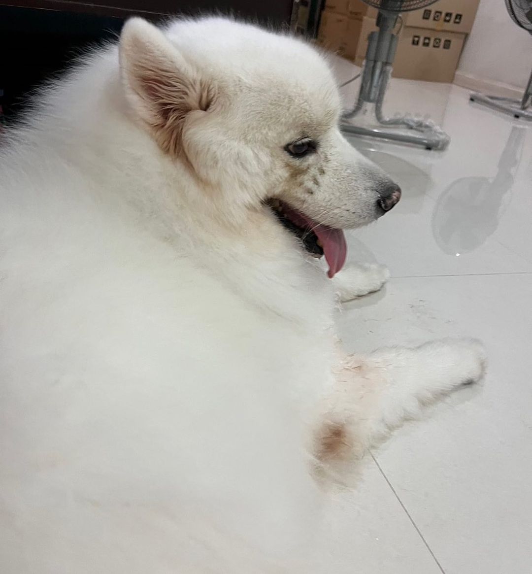 บุ๋ม - ปนัดดา วงศ์ผู้ดี