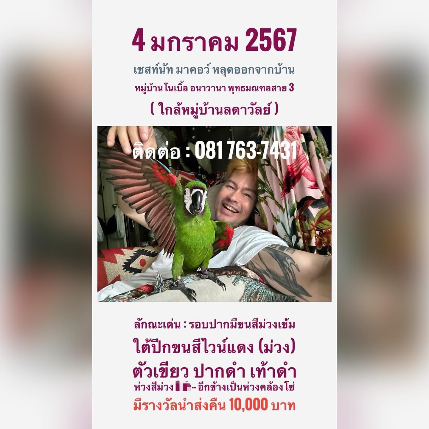 บุ๋ม - ปนัดดา วงศ์ผู้ดี