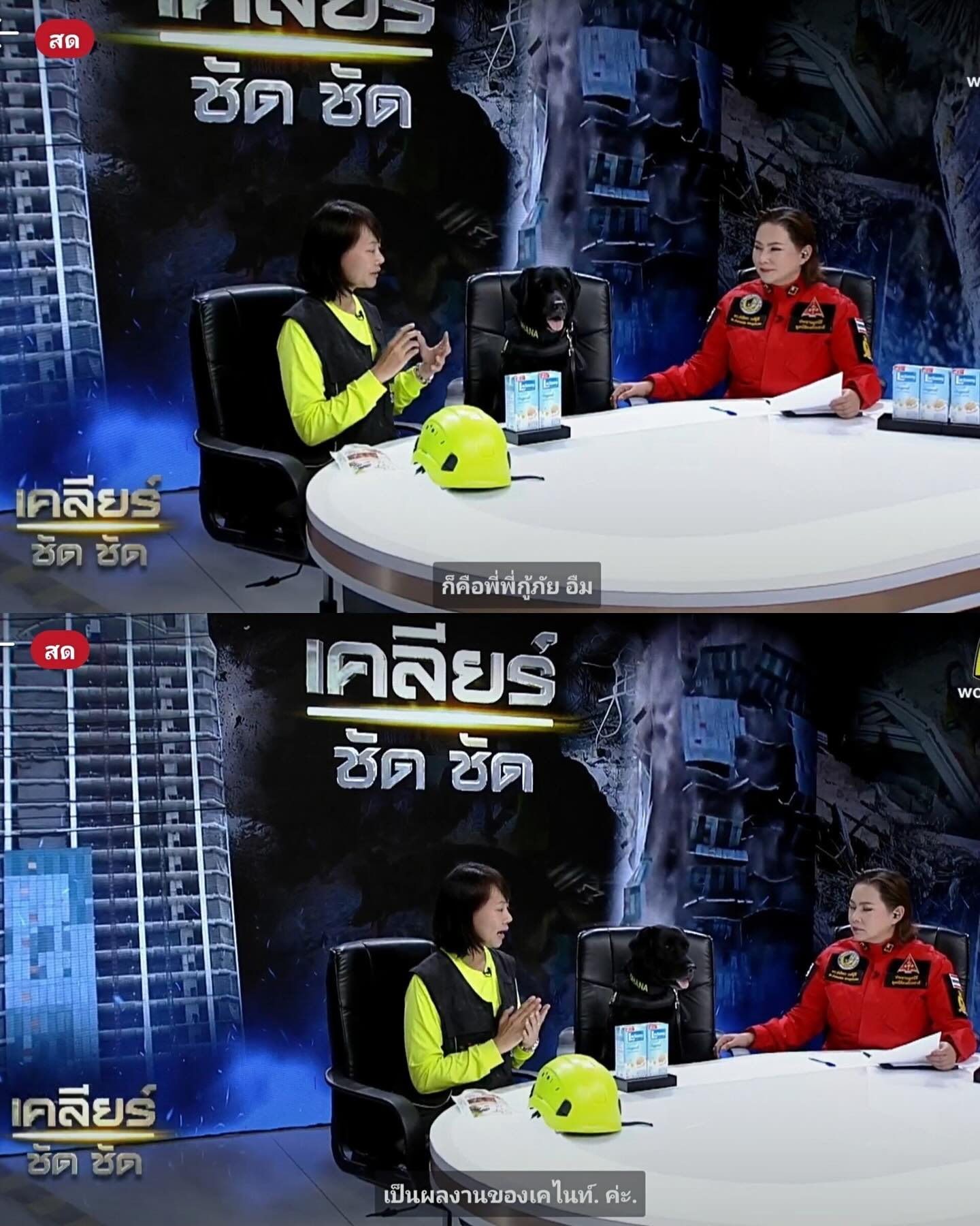 บุ๋ม - ปนัดดา วงศ์ผู้ดี