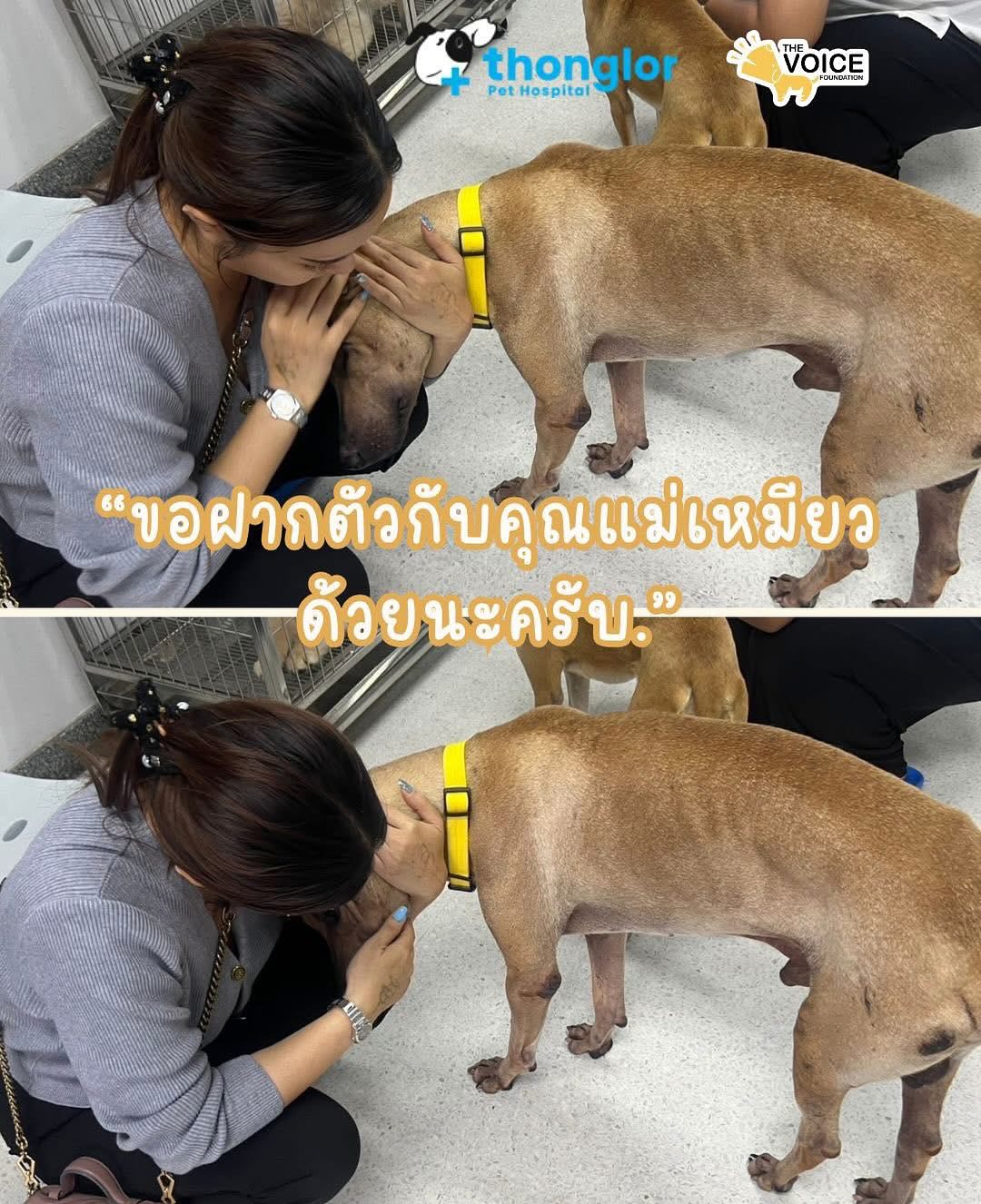 บุ๋ม - ปนัดดา วงศ์ผู้ดี