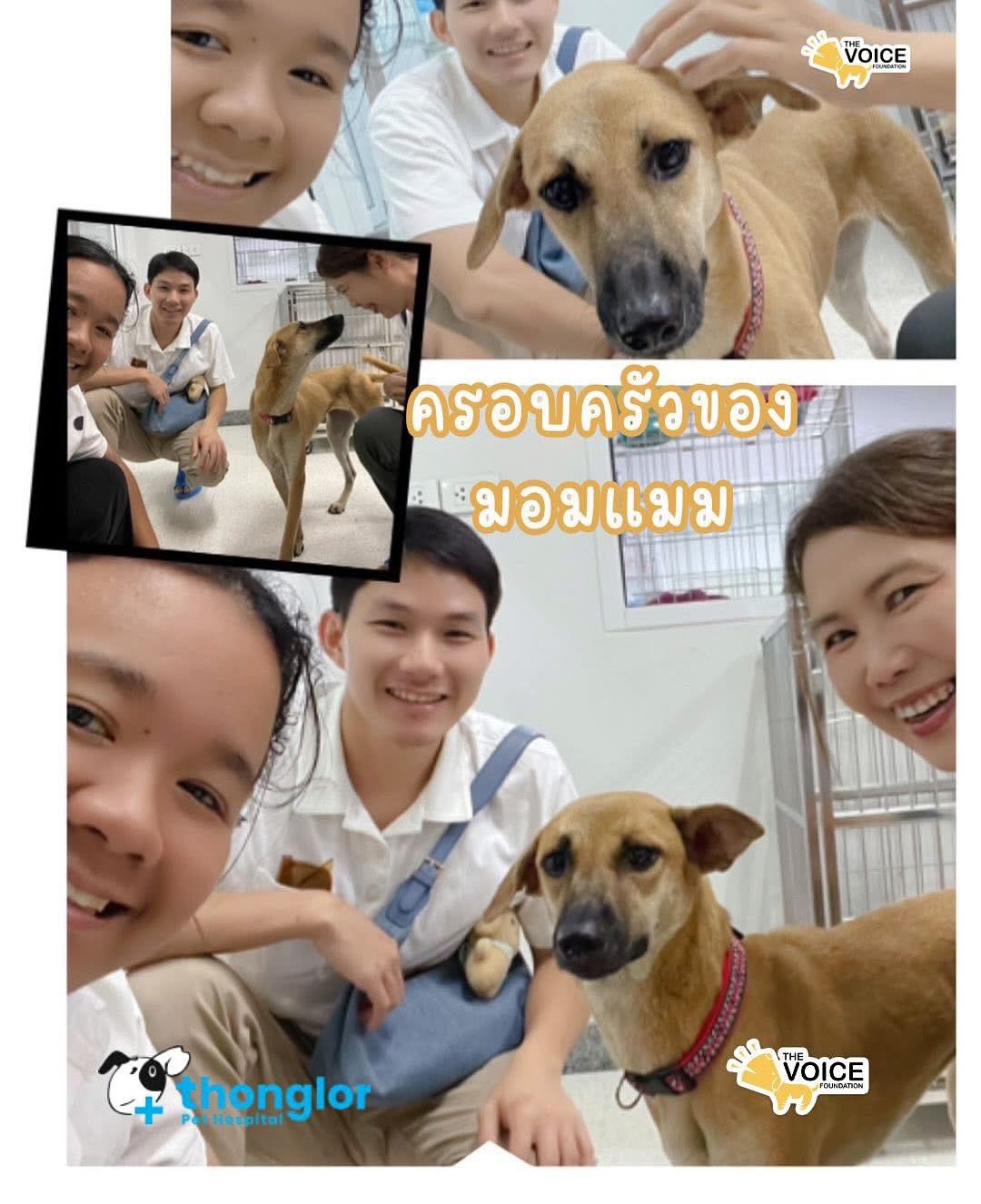 บุ๋ม - ปนัดดา วงศ์ผู้ดี
