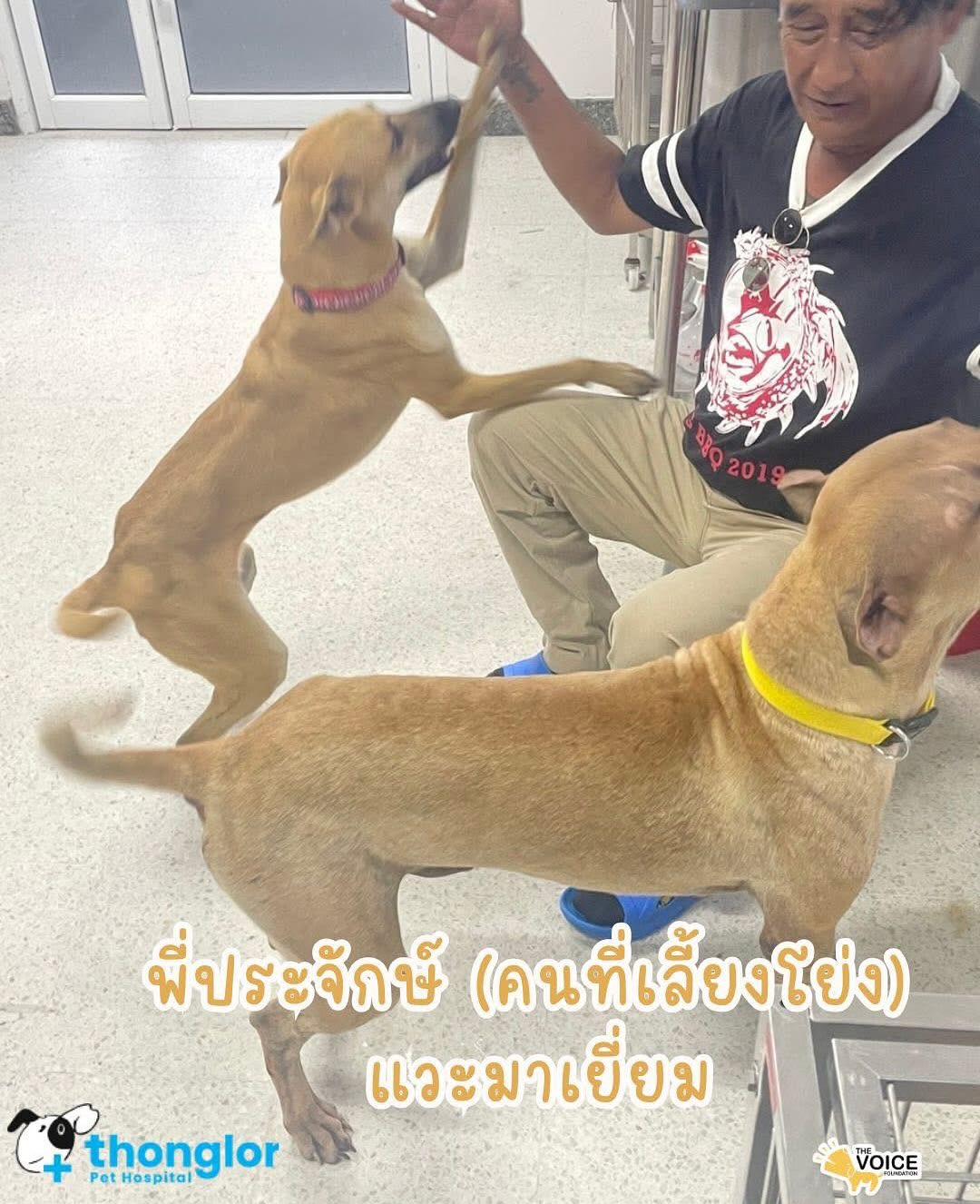 บุ๋ม - ปนัดดา วงศ์ผู้ดี