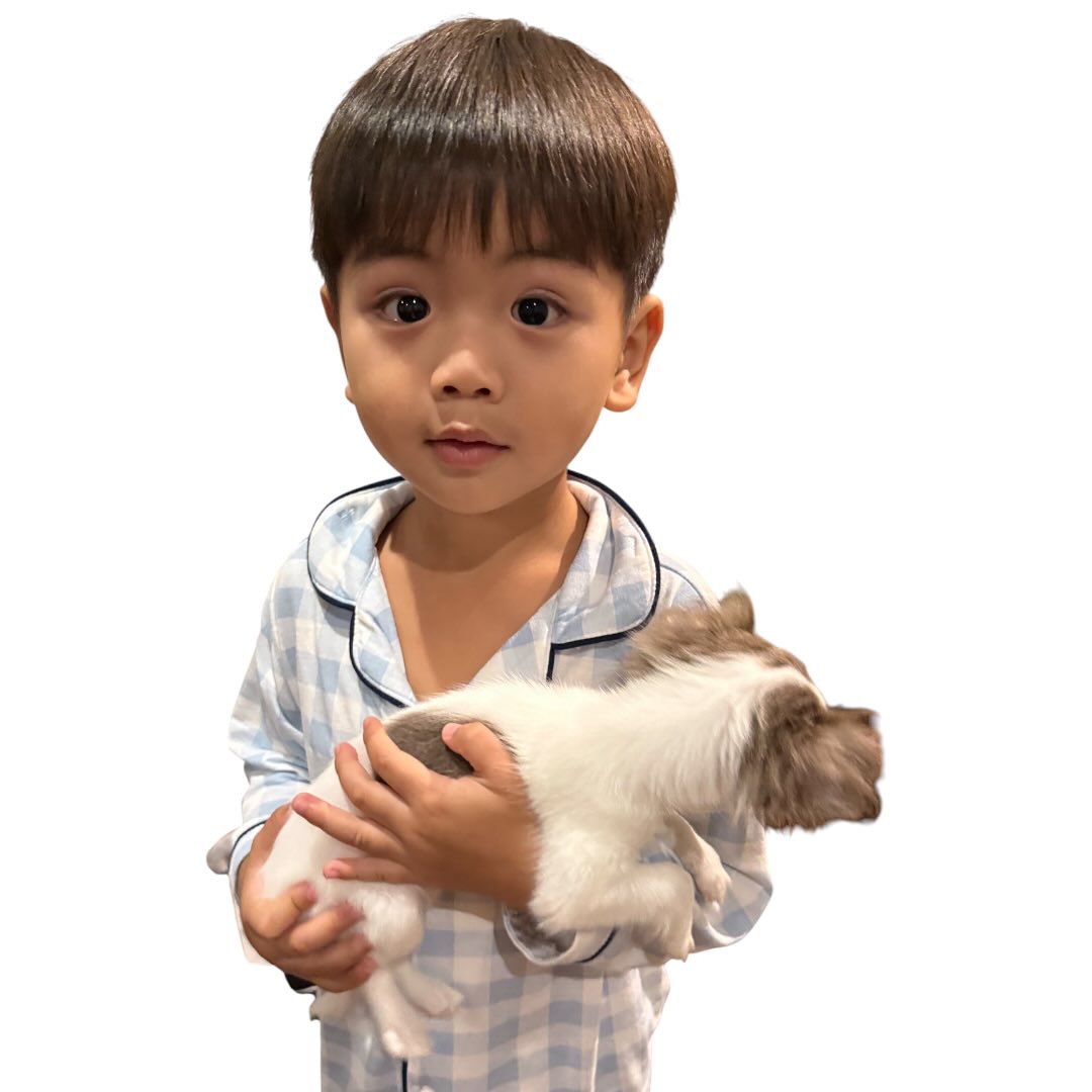บุ๋ม - ปนัดดา วงศ์ผู้ดี