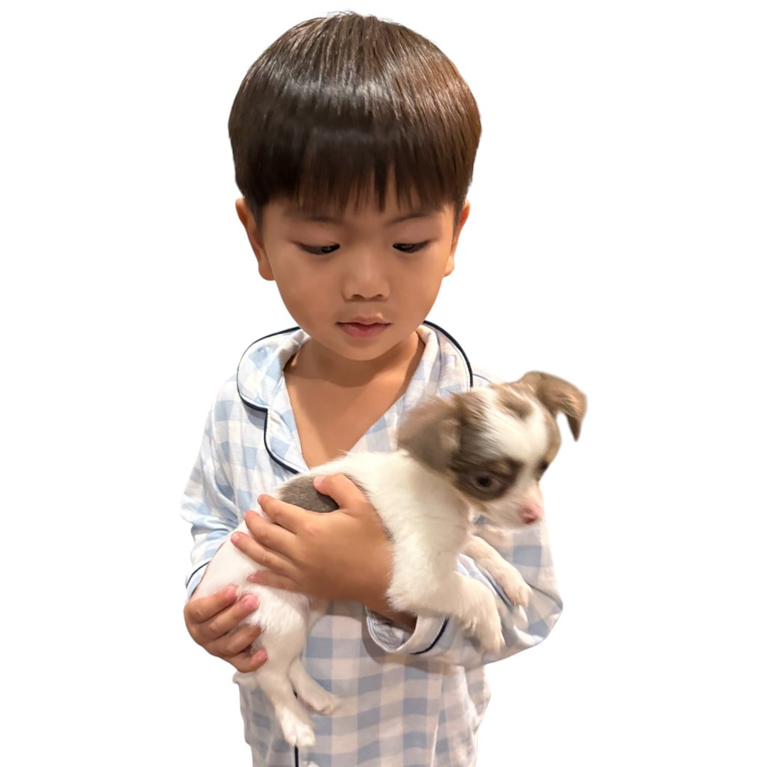 บุ๋ม - ปนัดดา วงศ์ผู้ดี