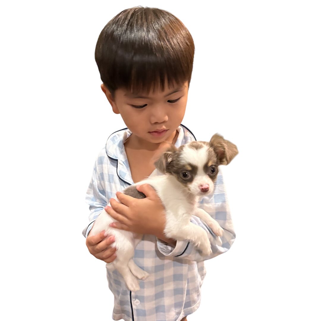 บุ๋ม - ปนัดดา วงศ์ผู้ดี