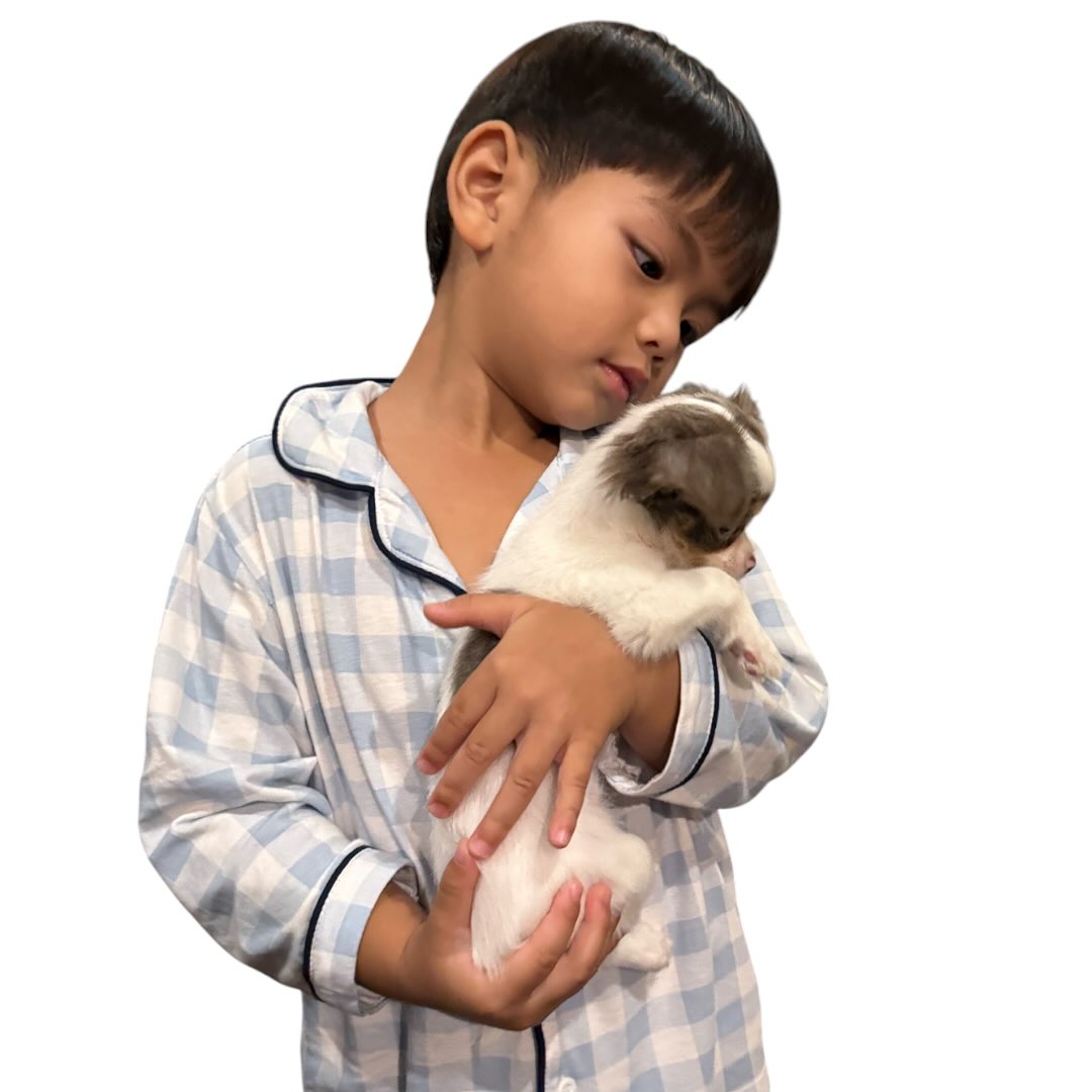 บุ๋ม - ปนัดดา วงศ์ผู้ดี