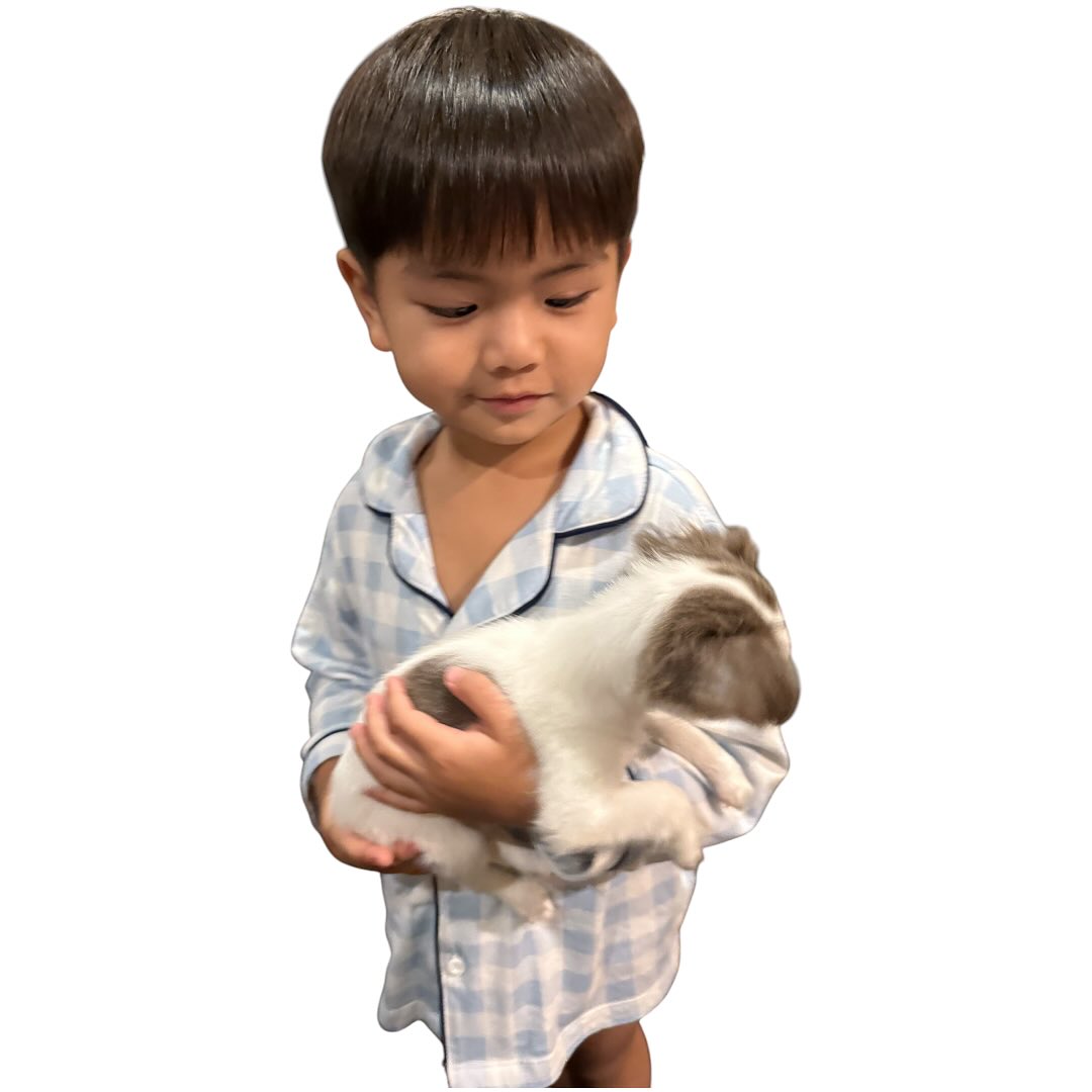บุ๋ม - ปนัดดา วงศ์ผู้ดี