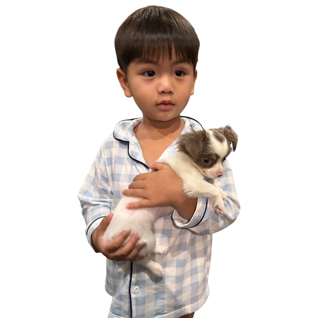 บุ๋ม - ปนัดดา วงศ์ผู้ดี