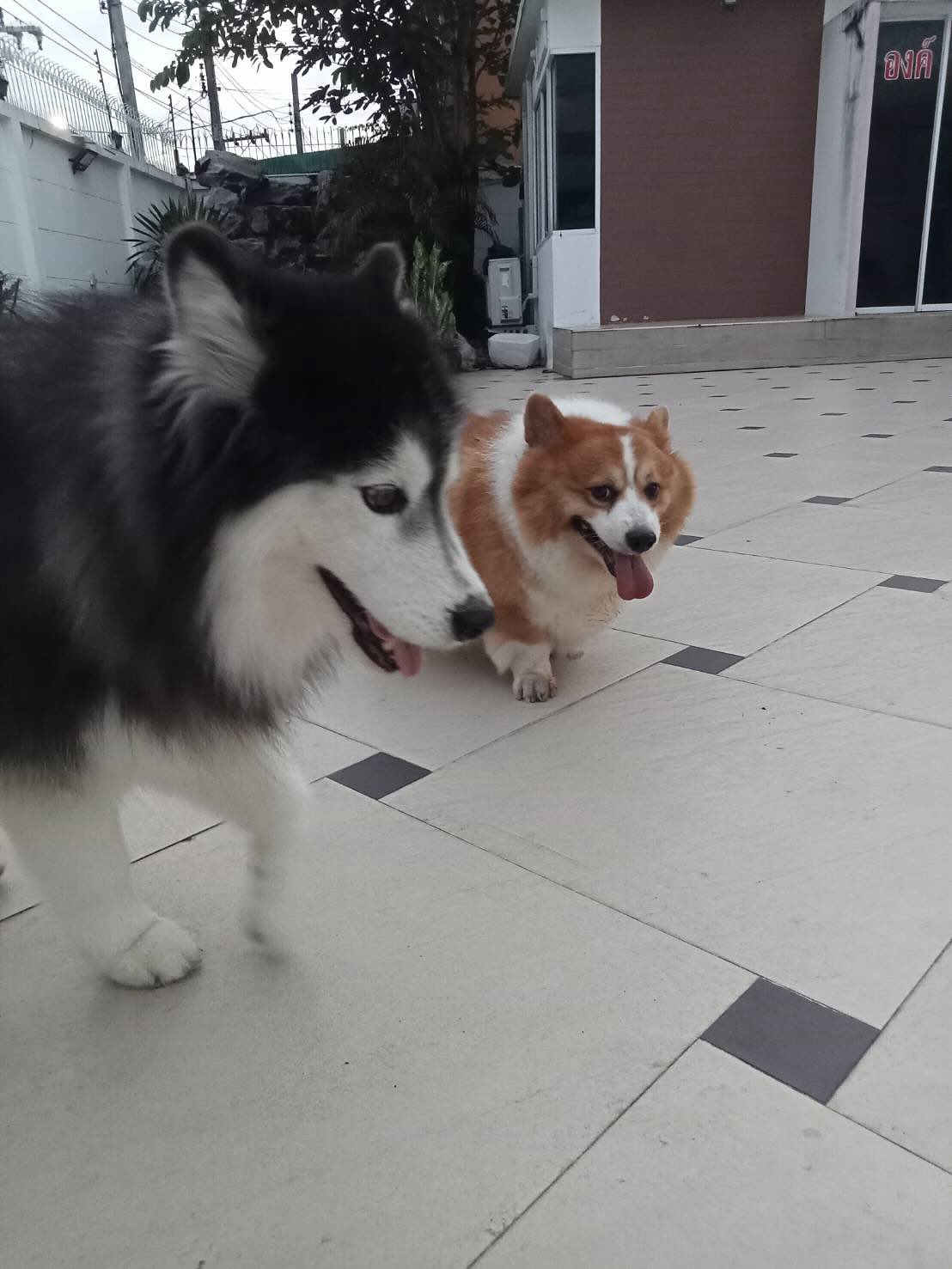 บุ๋ม - ปนัดดา วงศ์ผู้ดี