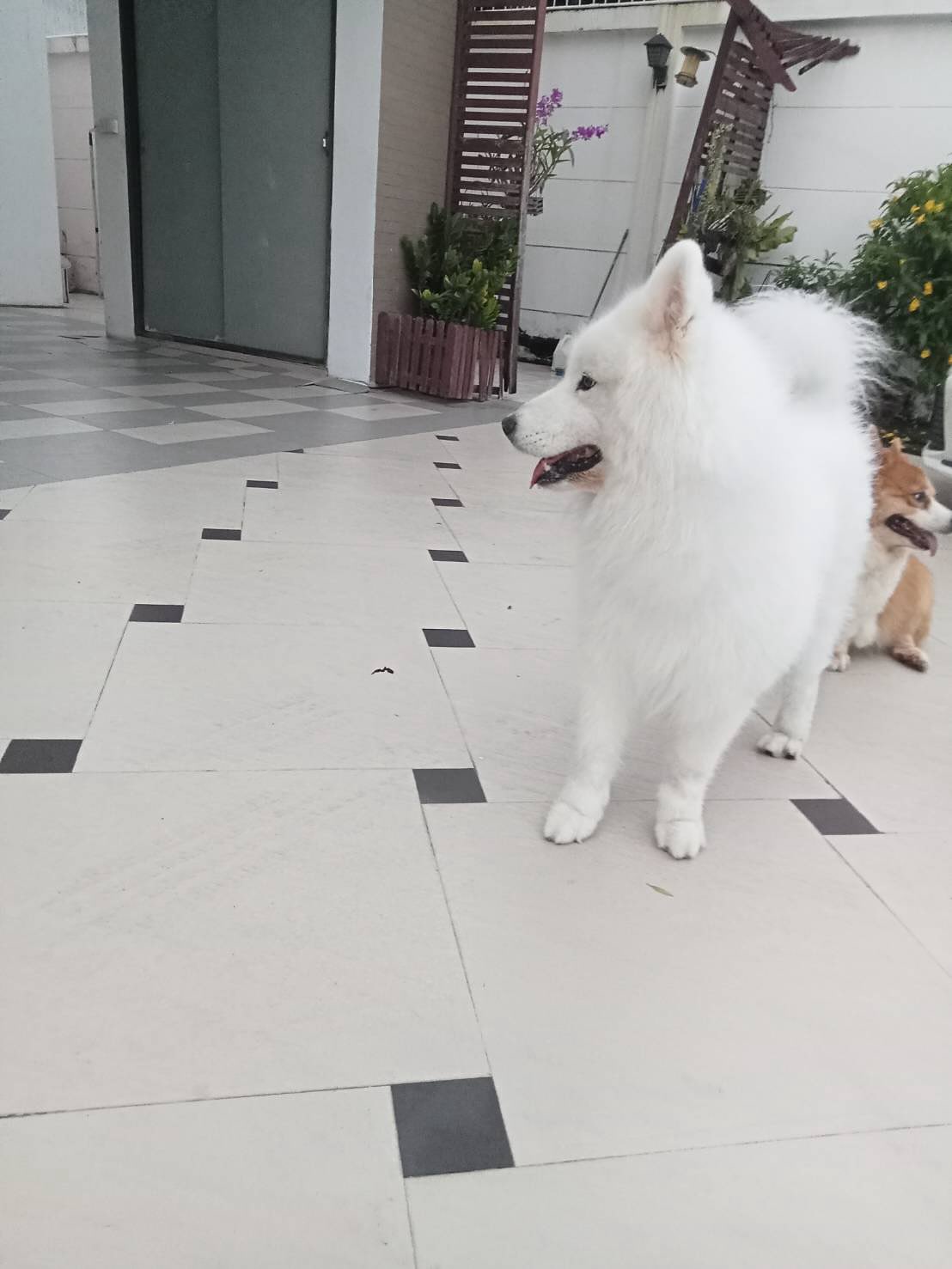 บุ๋ม - ปนัดดา วงศ์ผู้ดี