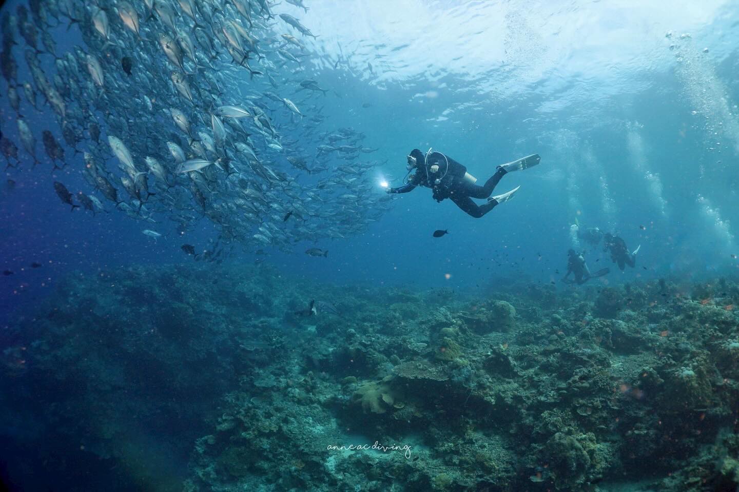 บุ๋ม - ปนัดดา วงศ์ผู้ดี