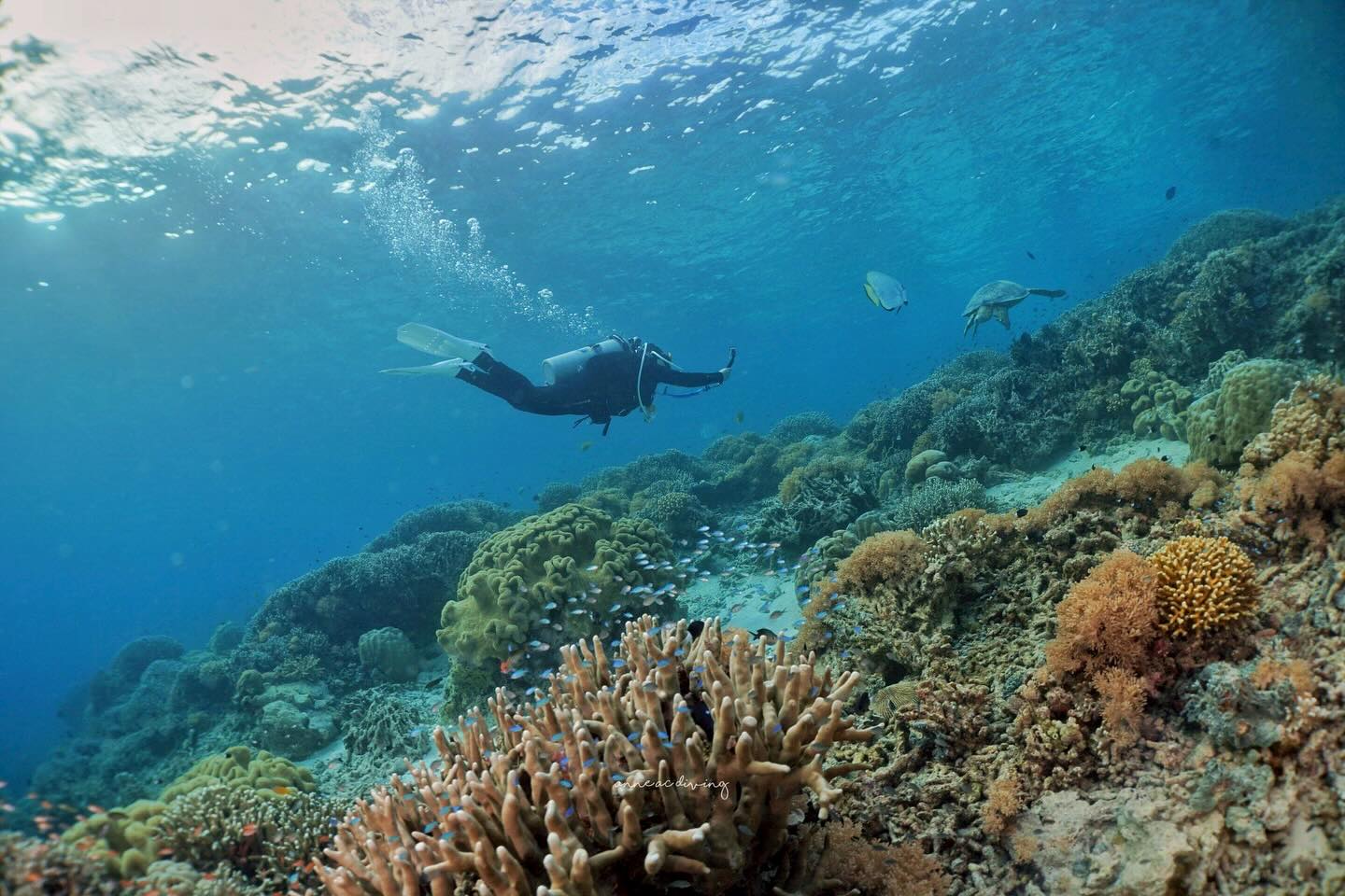 บุ๋ม - ปนัดดา วงศ์ผู้ดี