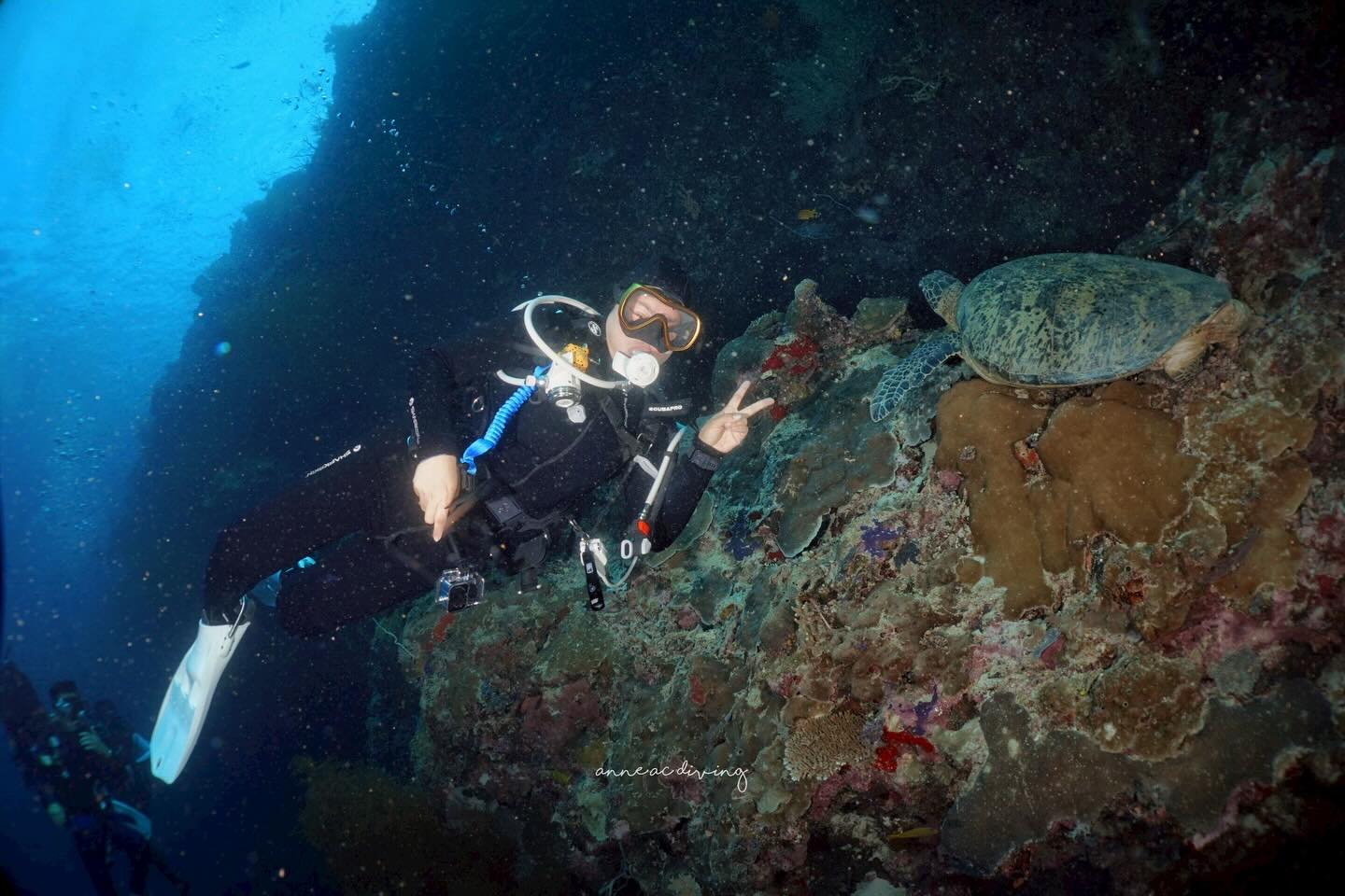 บุ๋ม - ปนัดดา วงศ์ผู้ดี