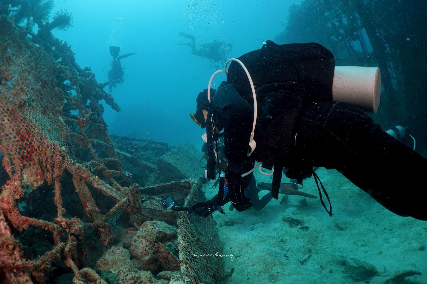 บุ๋ม - ปนัดดา วงศ์ผู้ดี